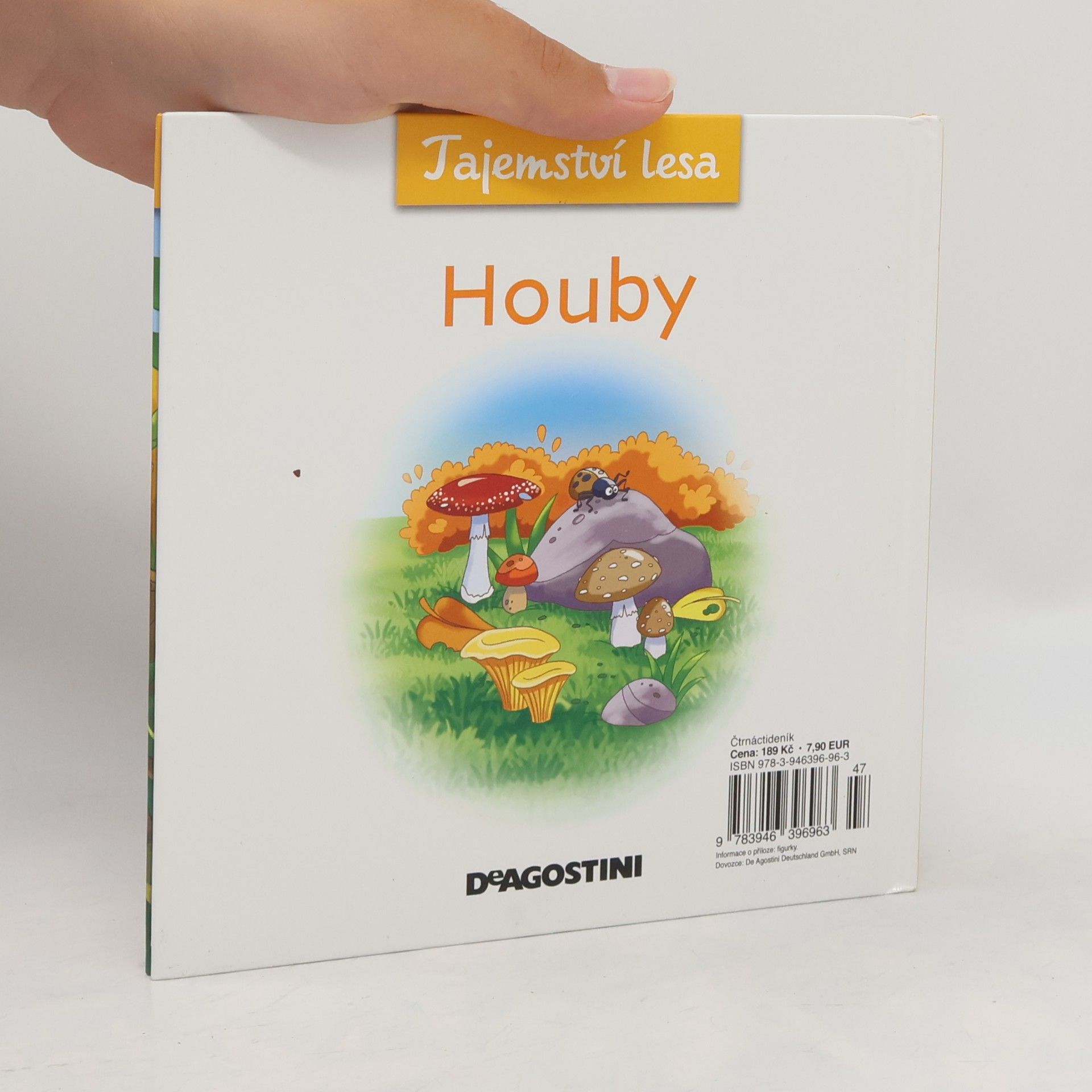 Autorenkollektiv Tajemství lesa 7. Houby
