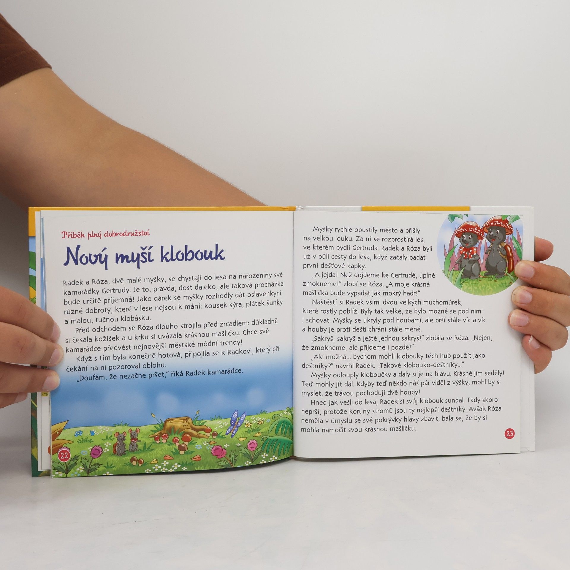 Autorenkollektiv Tajemství lesa 7. Houby