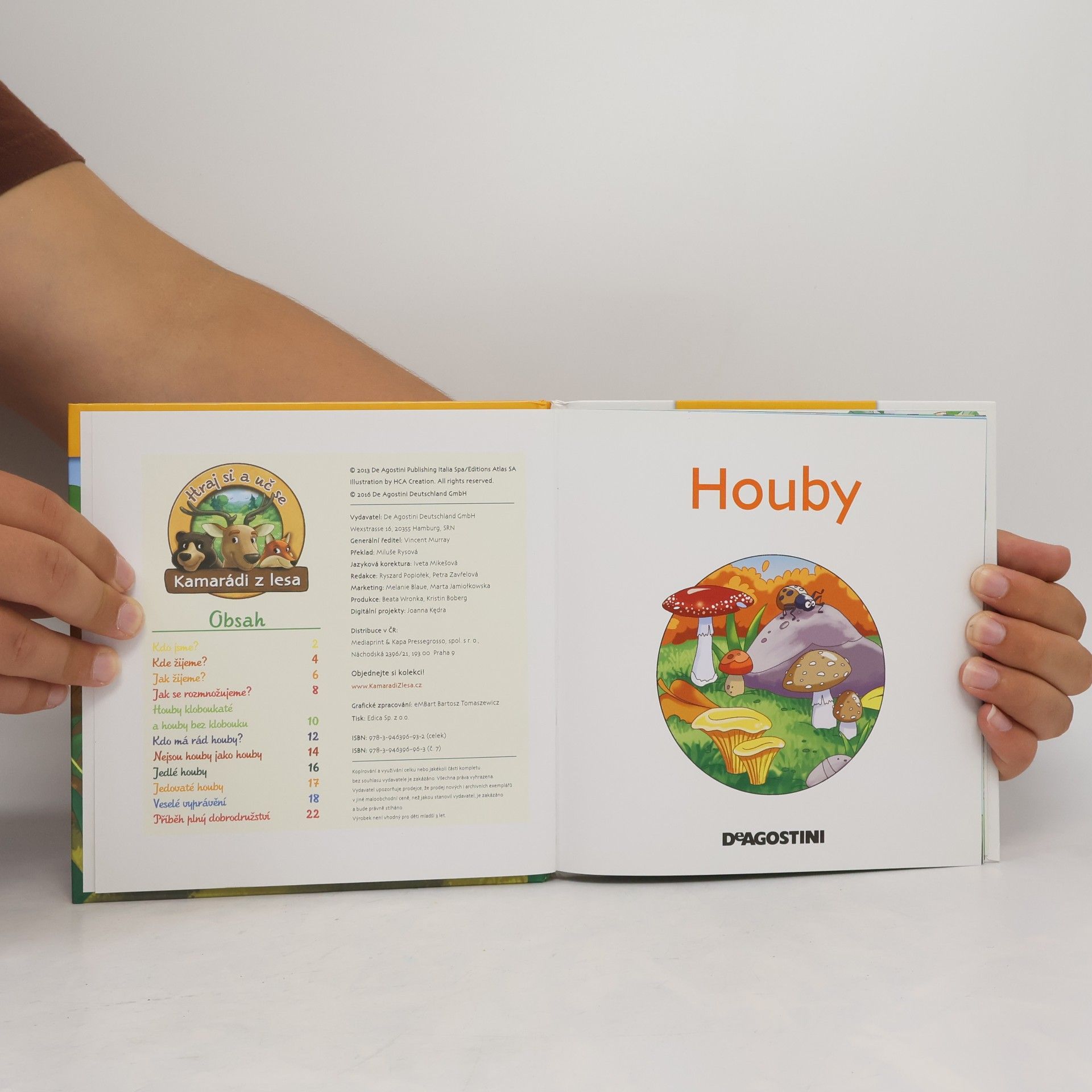 Autorenkollektiv Tajemství lesa 7. Houby