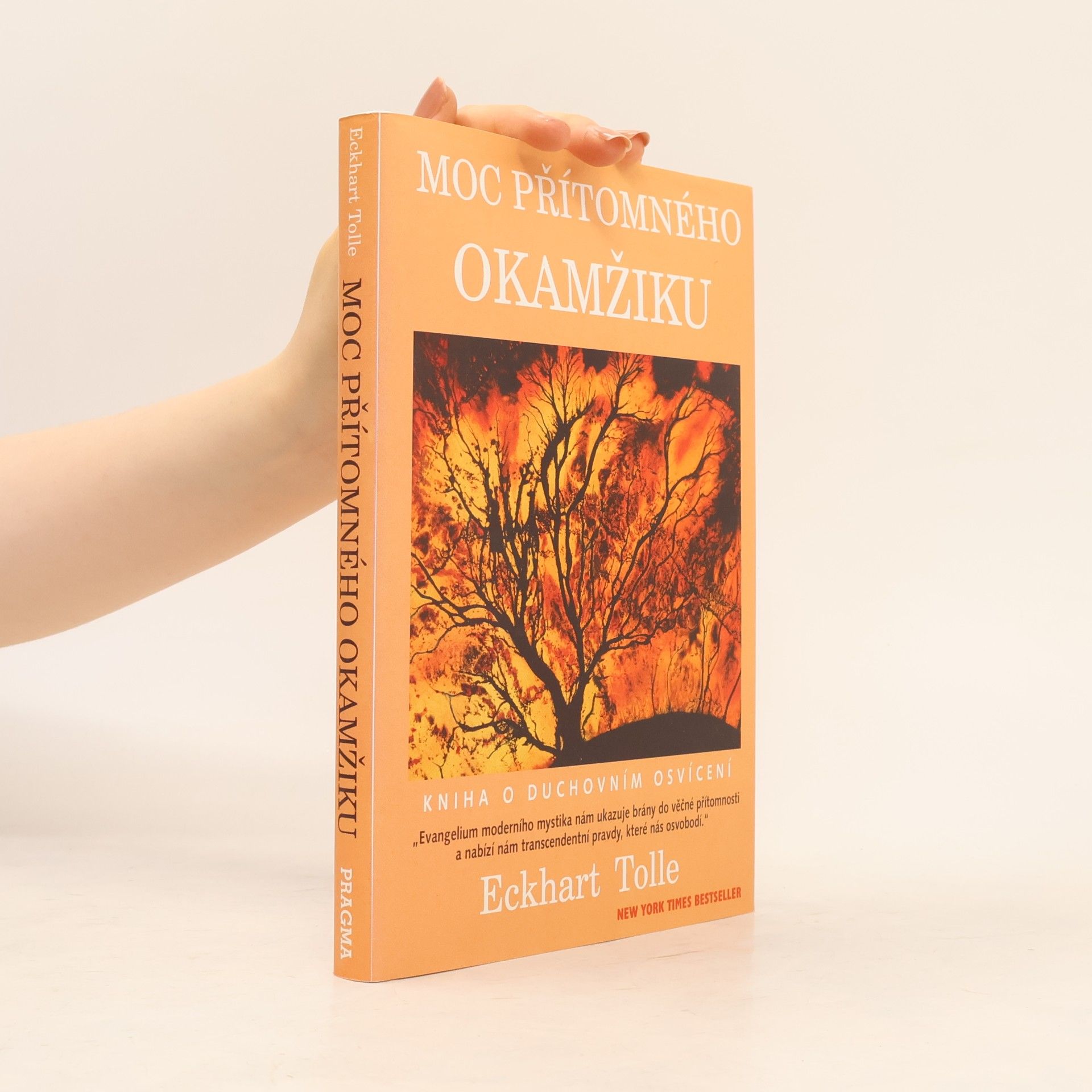 Eckhart Tolle Moc přítomného okamžiku