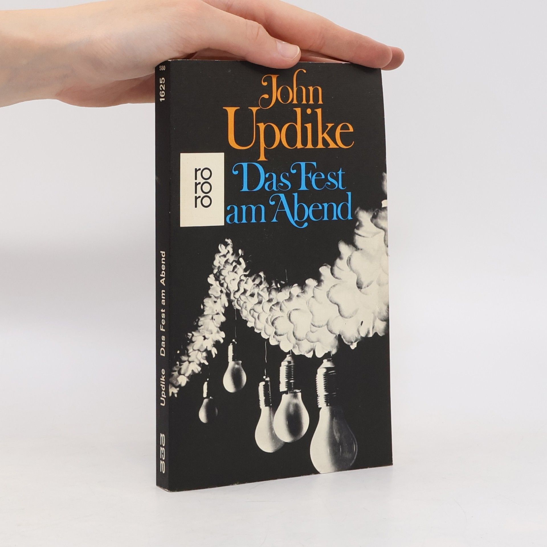 John Updike Das Fest am Abend