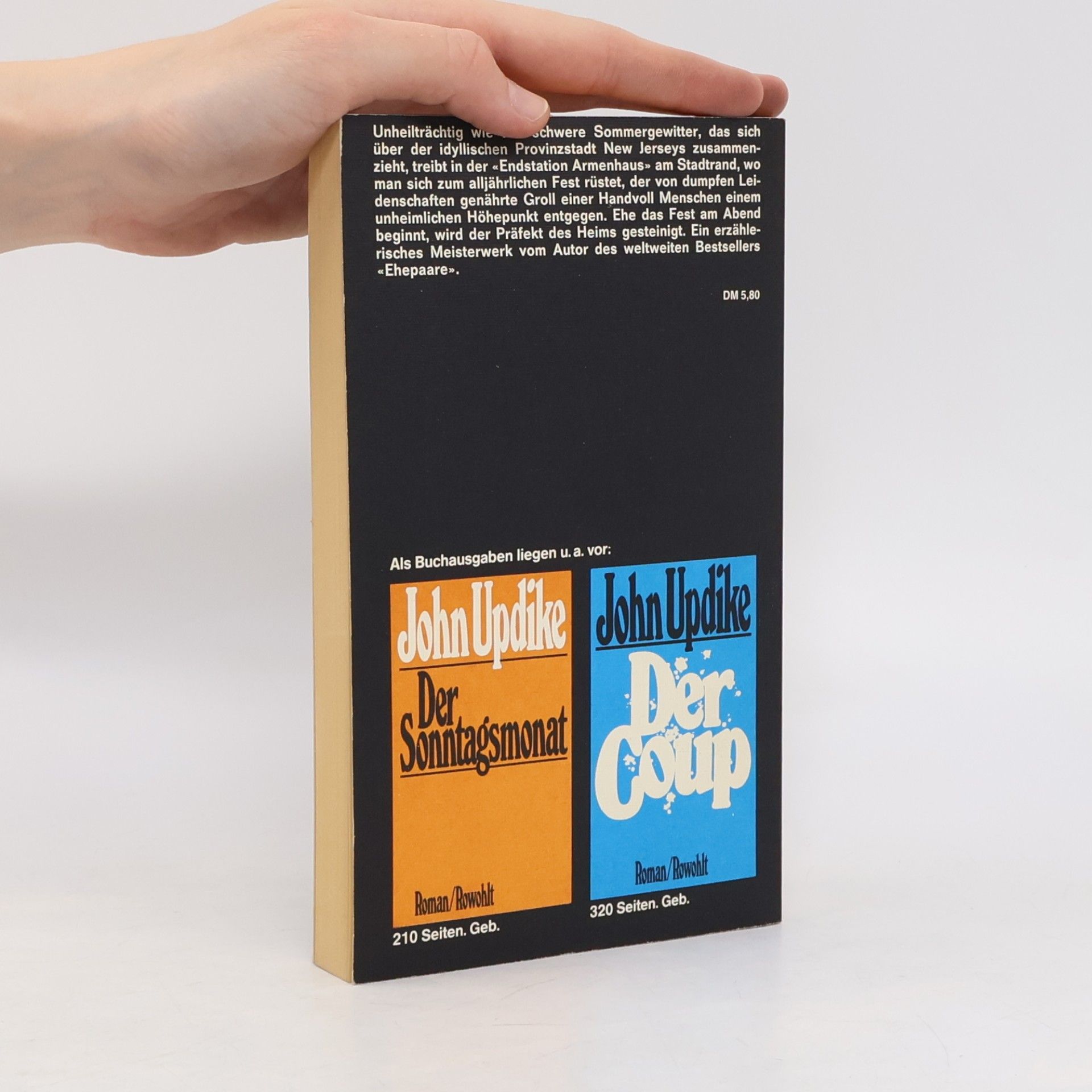 John Updike Das Fest am Abend