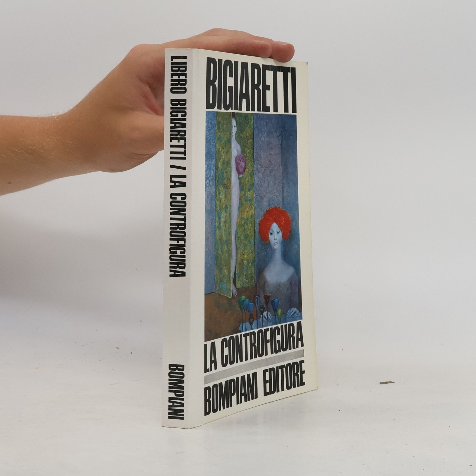 Collectif d'auteurs Libero Bigiaretti / La Controfigura
