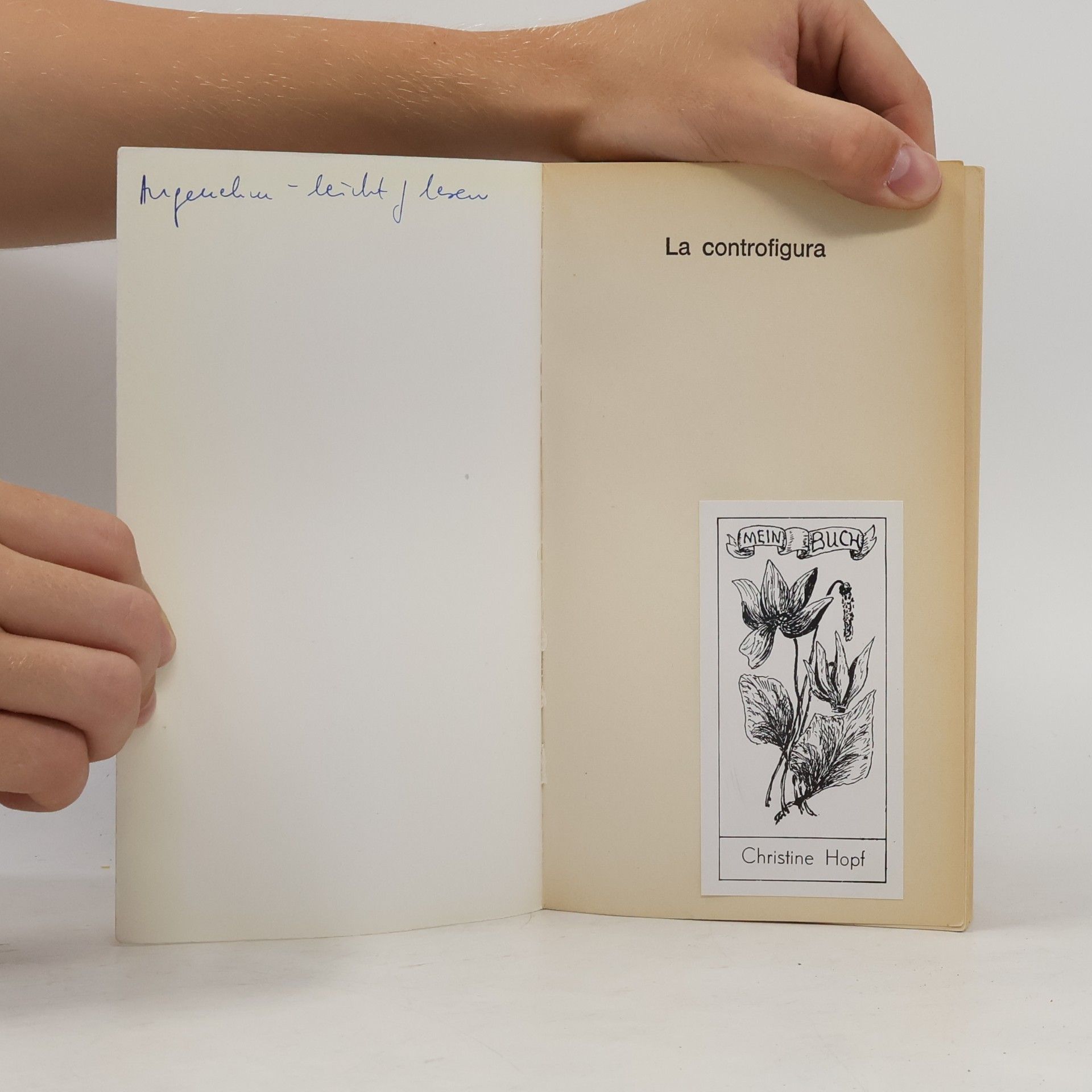Collectif d'auteurs Libero Bigiaretti / La Controfigura