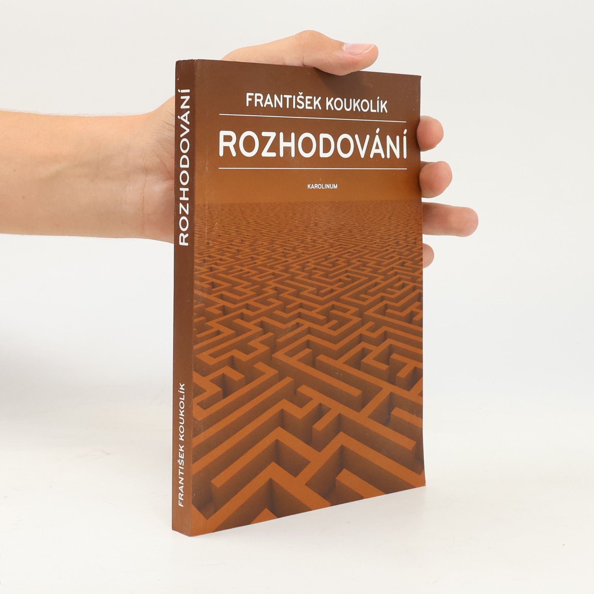 František Koukolík Rozhodování