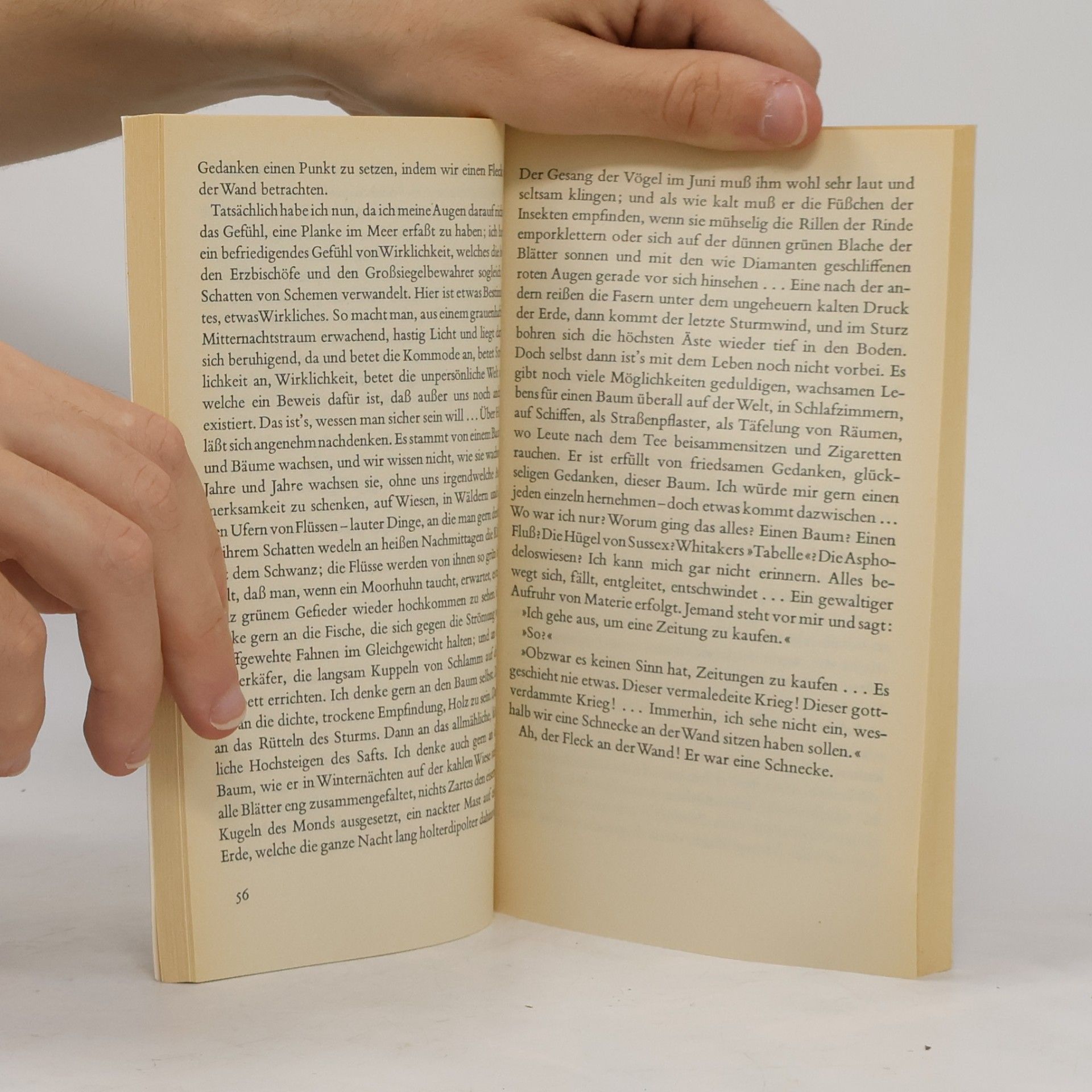 Virginia Woolf Die Dame im Spiegel