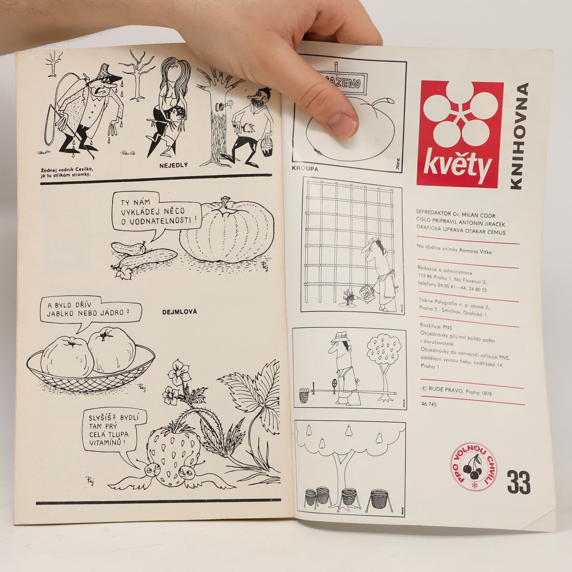 Autorenkollektiv Knihovna květy. Pro volnou chvíli 33