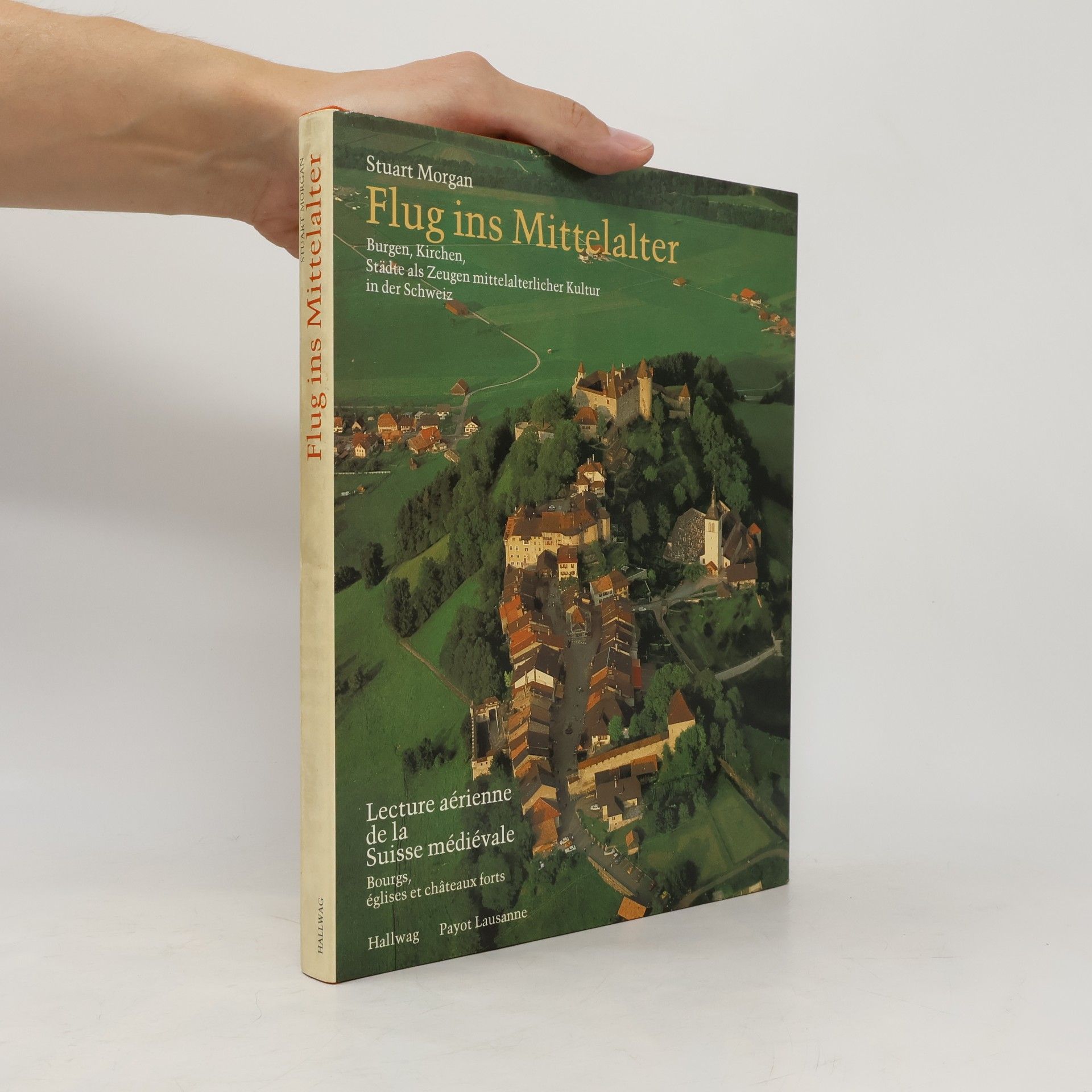 Stuart Morgan Flug ins Mittelalter. Burgen, Kirchen, Städte als Zeugen mittelalterlicher Kultur in der Schweiz