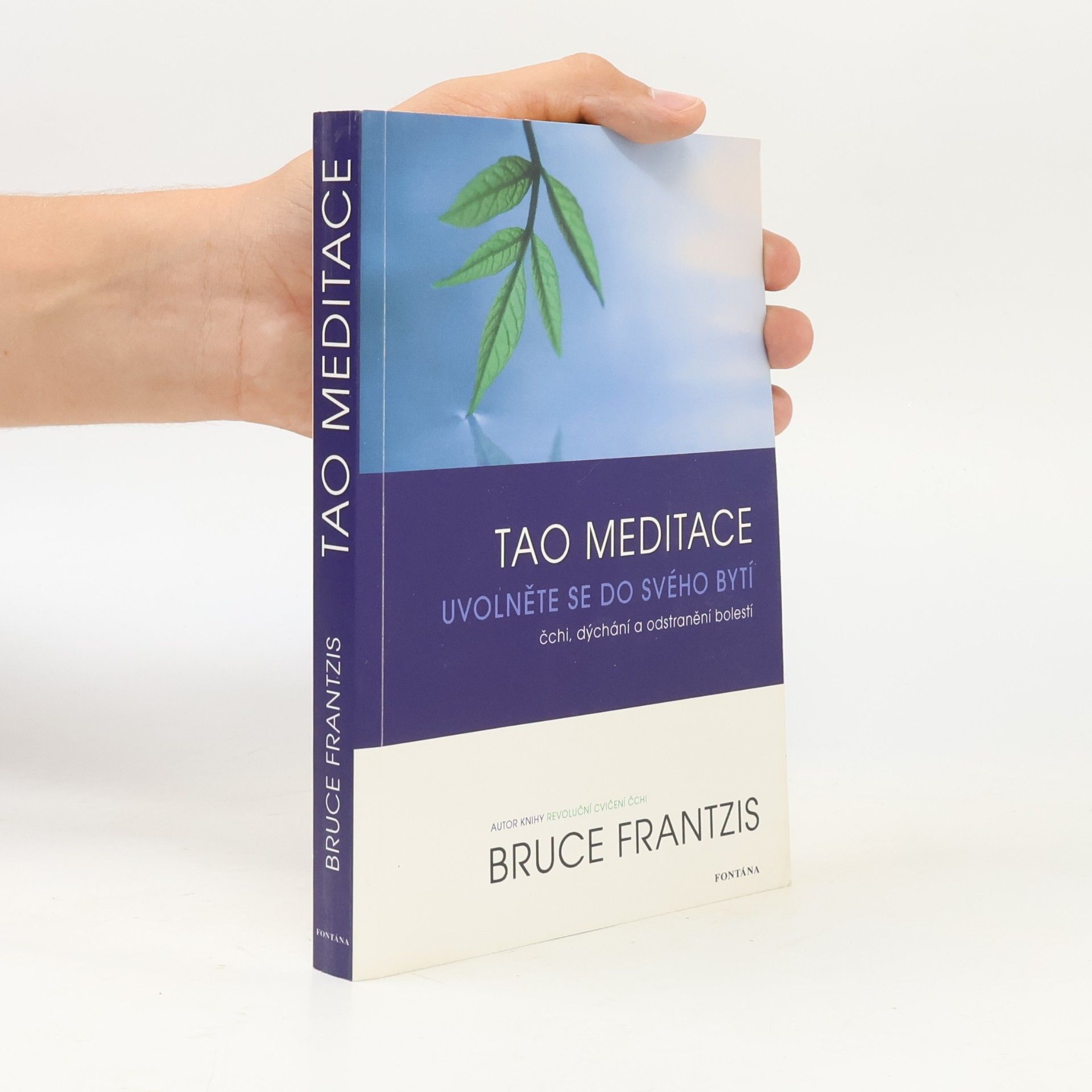 Bruce Kumar Frantzis Tao meditace. Uvolněte se do svého bytí: čchi, dýchání a odstranění bolesti