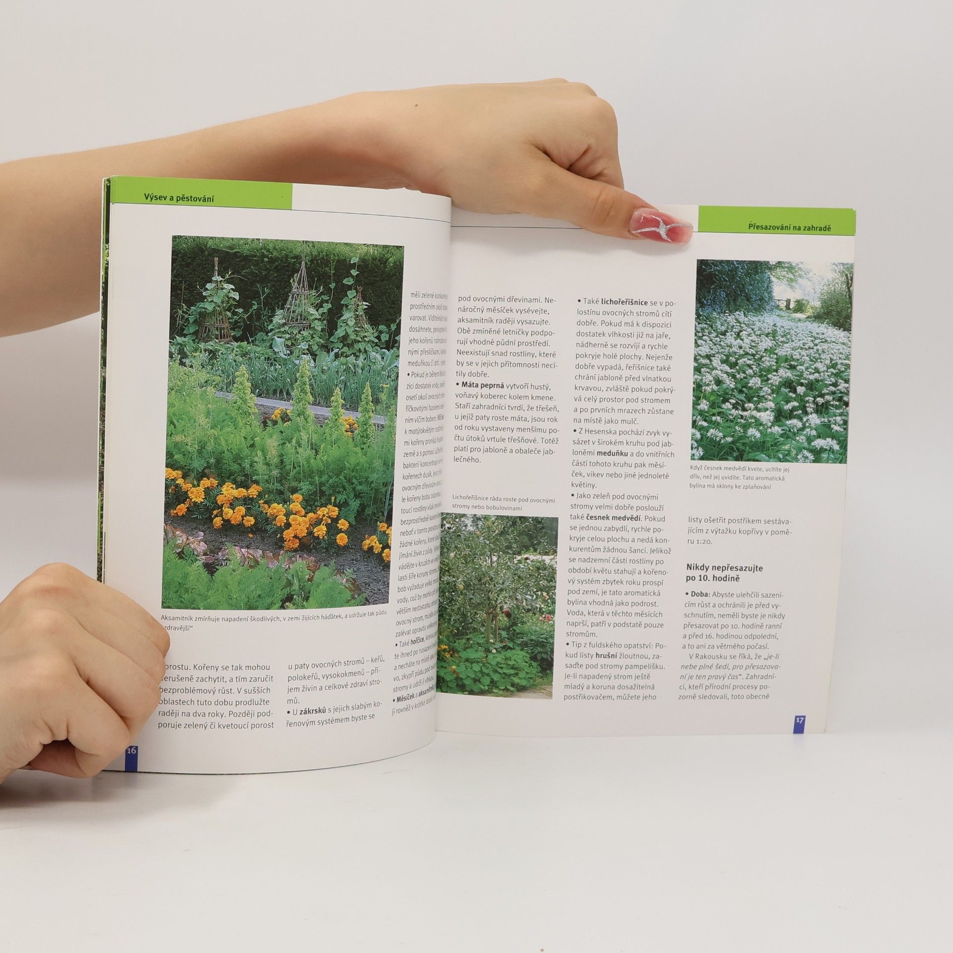Andrea Kern Rady našich babiček