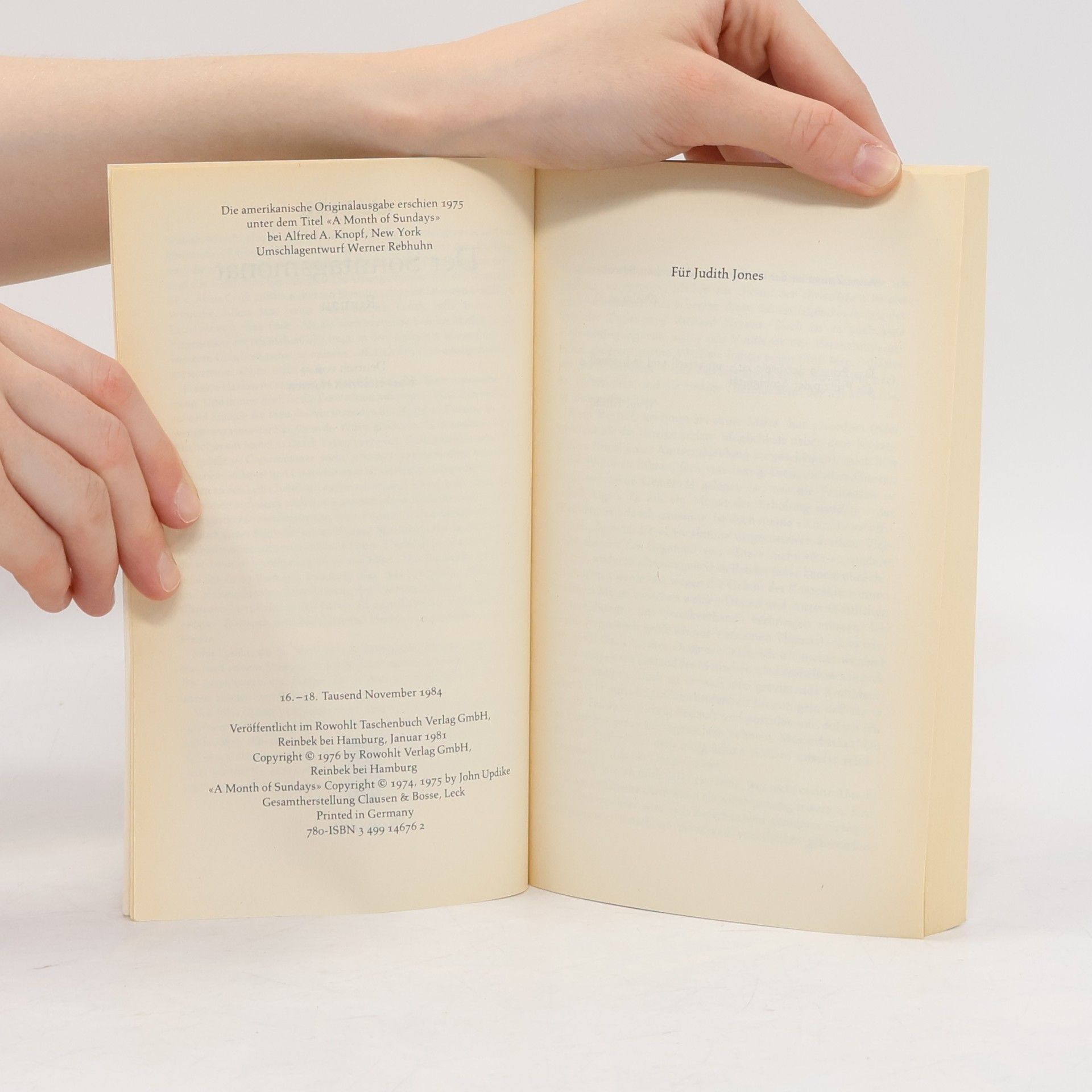 John Updike Der Sonntagsmonat