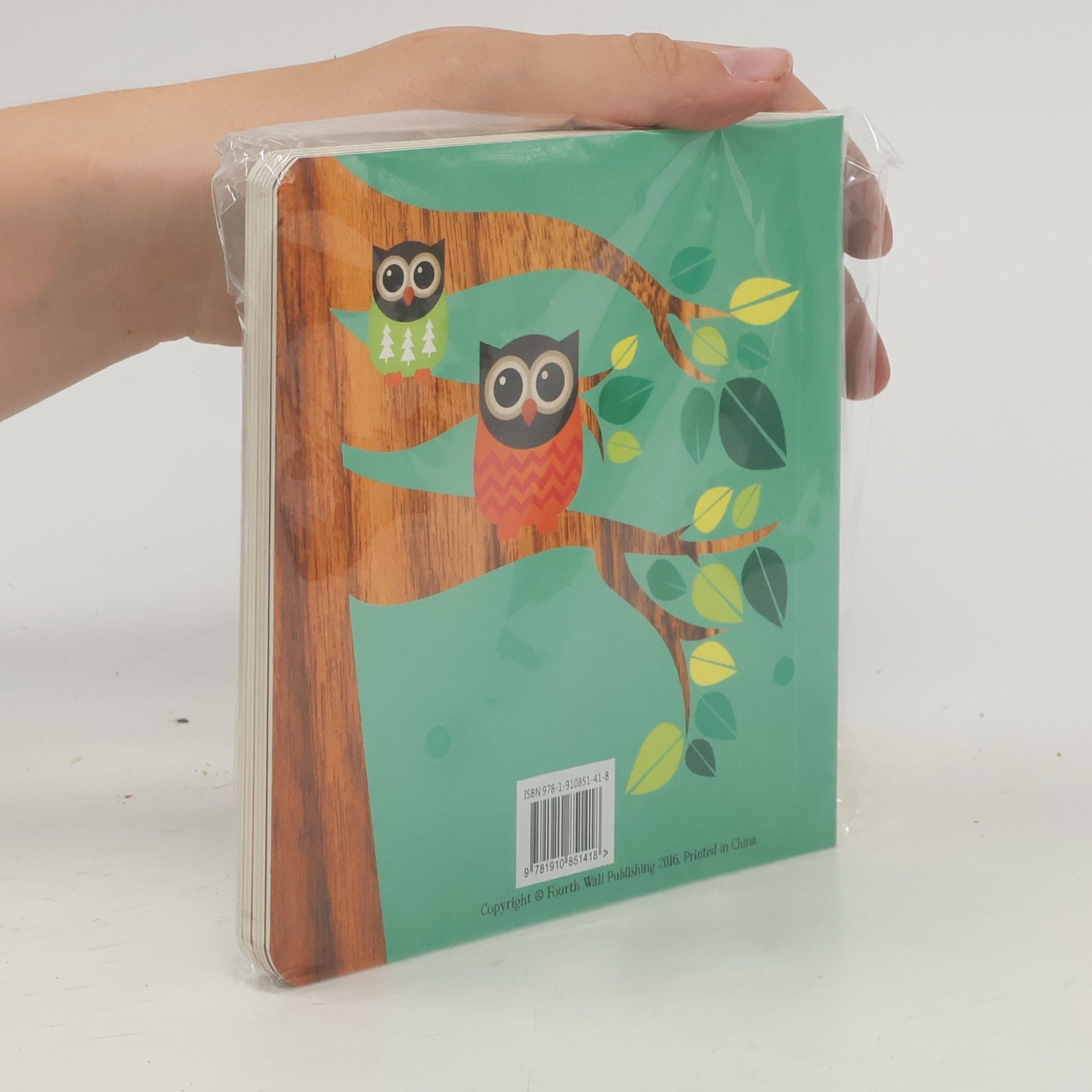 Rowena Blyth Hoot's First Book of the Body