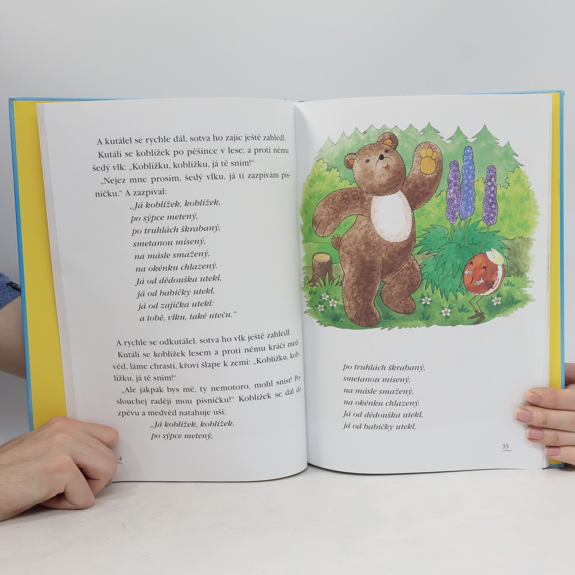 Edita Plicková Nejkrásnější české pohádky