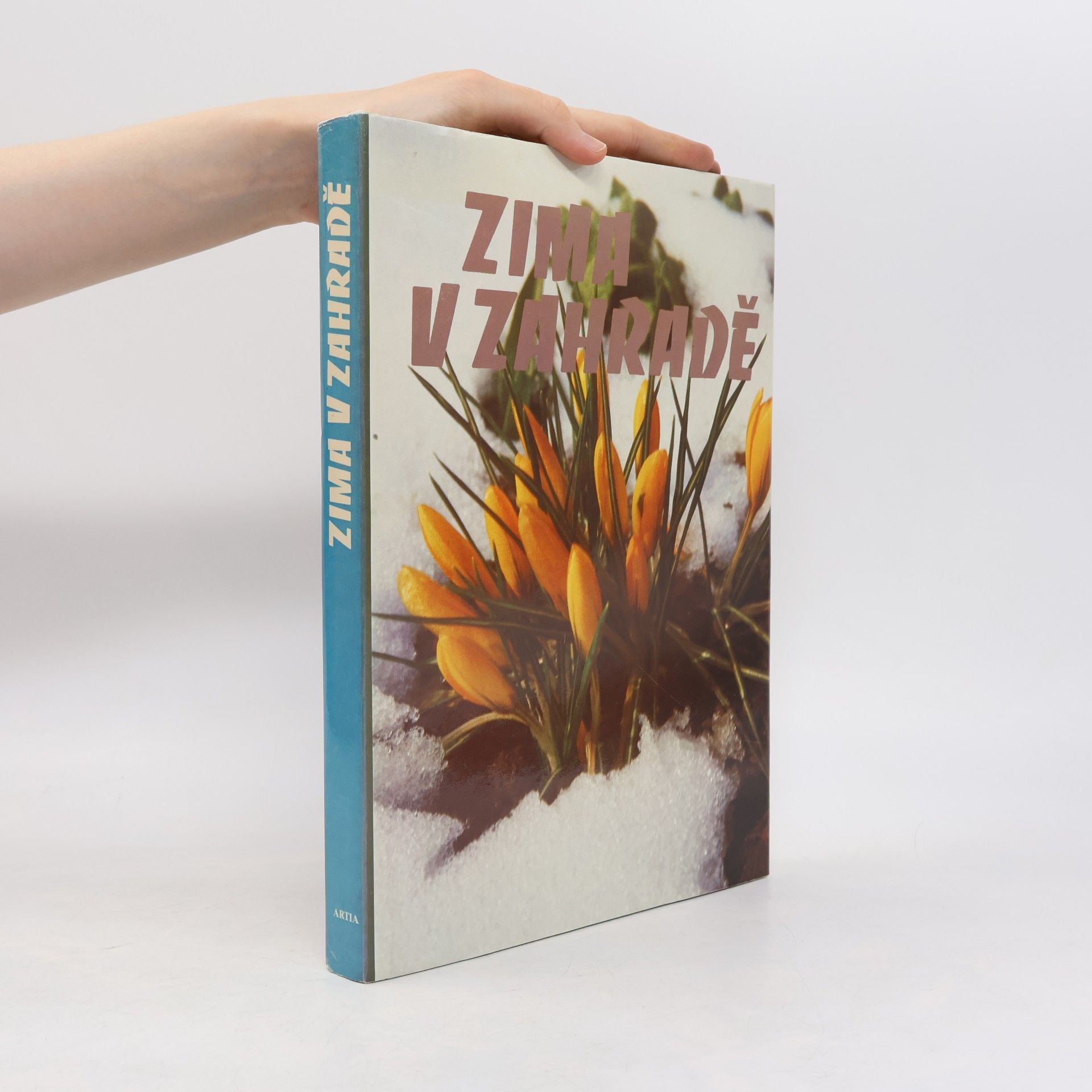 Various authors Zima v zahradě