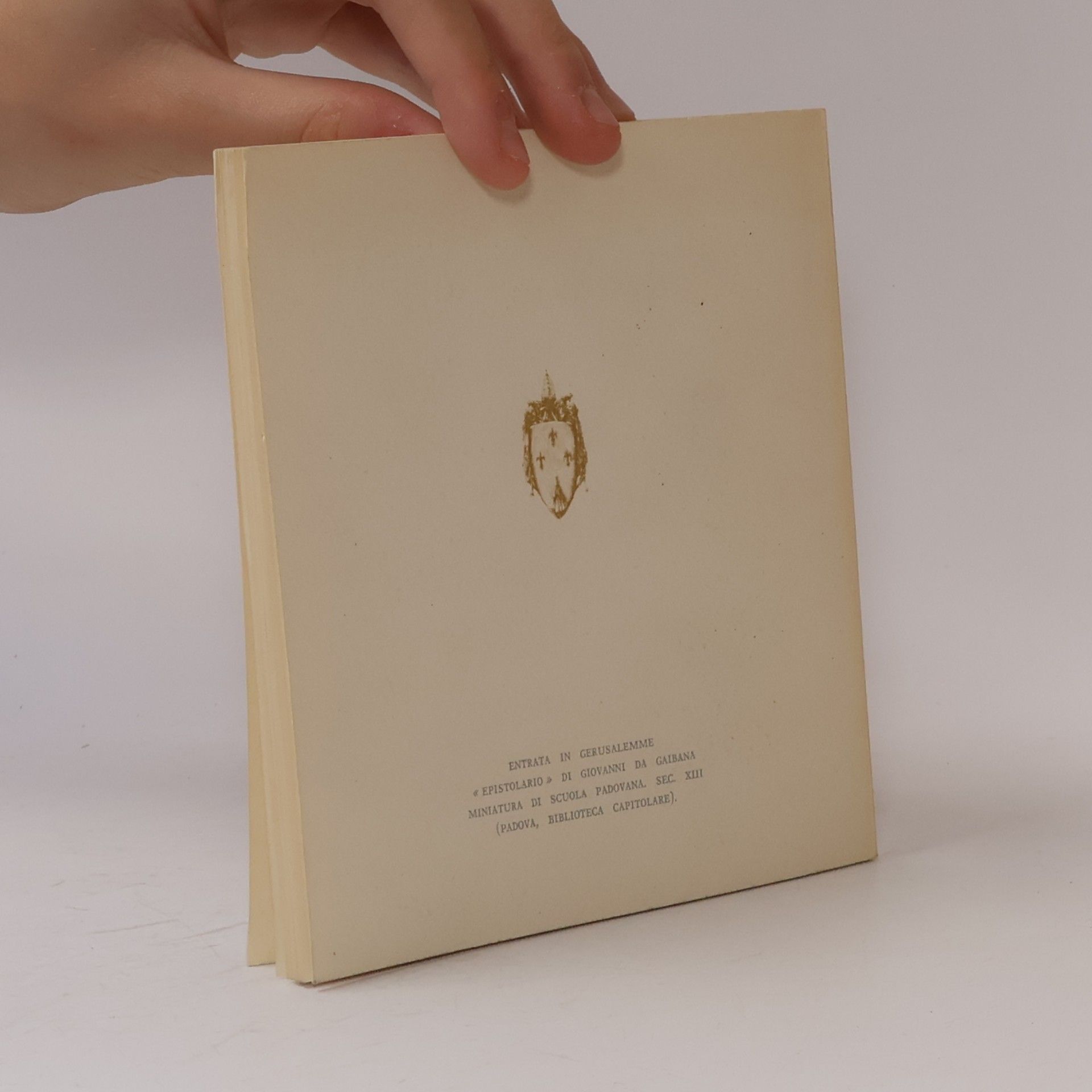 Collectif d'auteurs Domenica Delle Palme