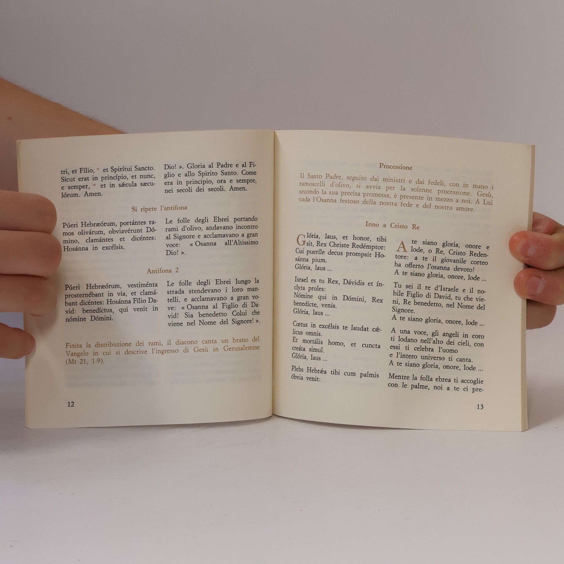 Collectif d'auteurs Domenica Delle Palme
