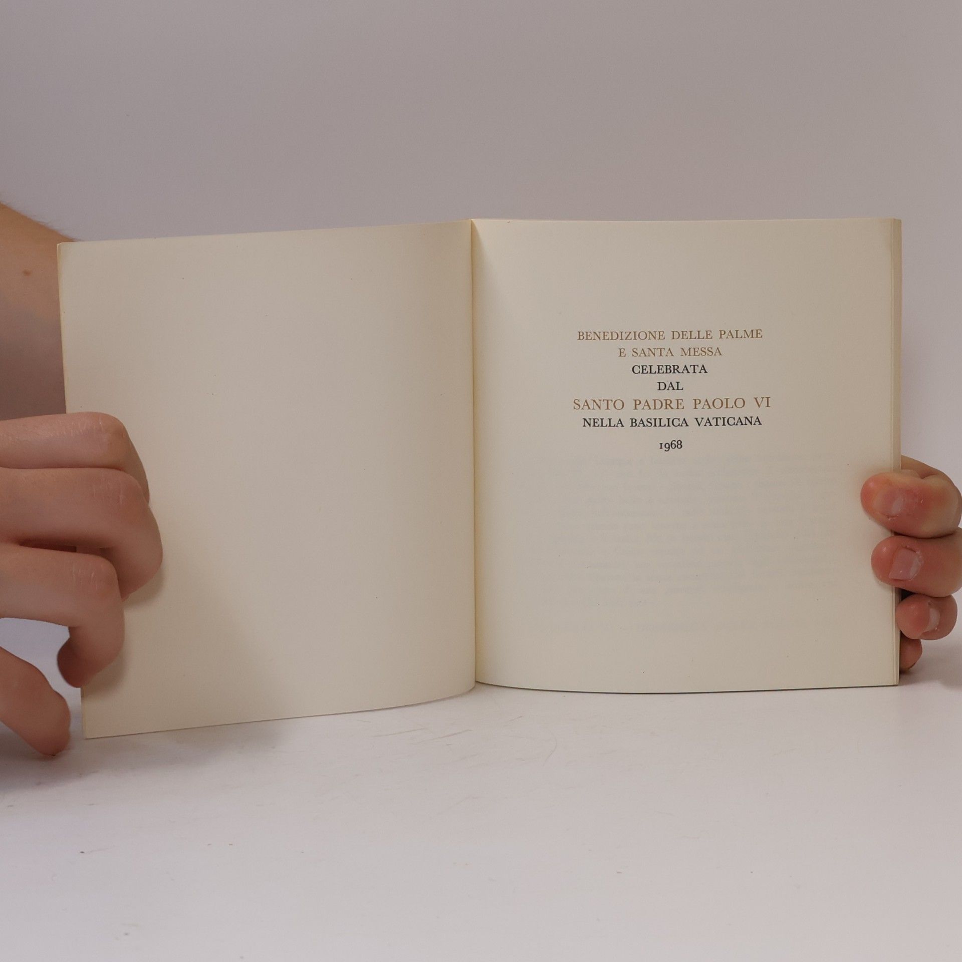 Collectif d'auteurs Domenica Delle Palme