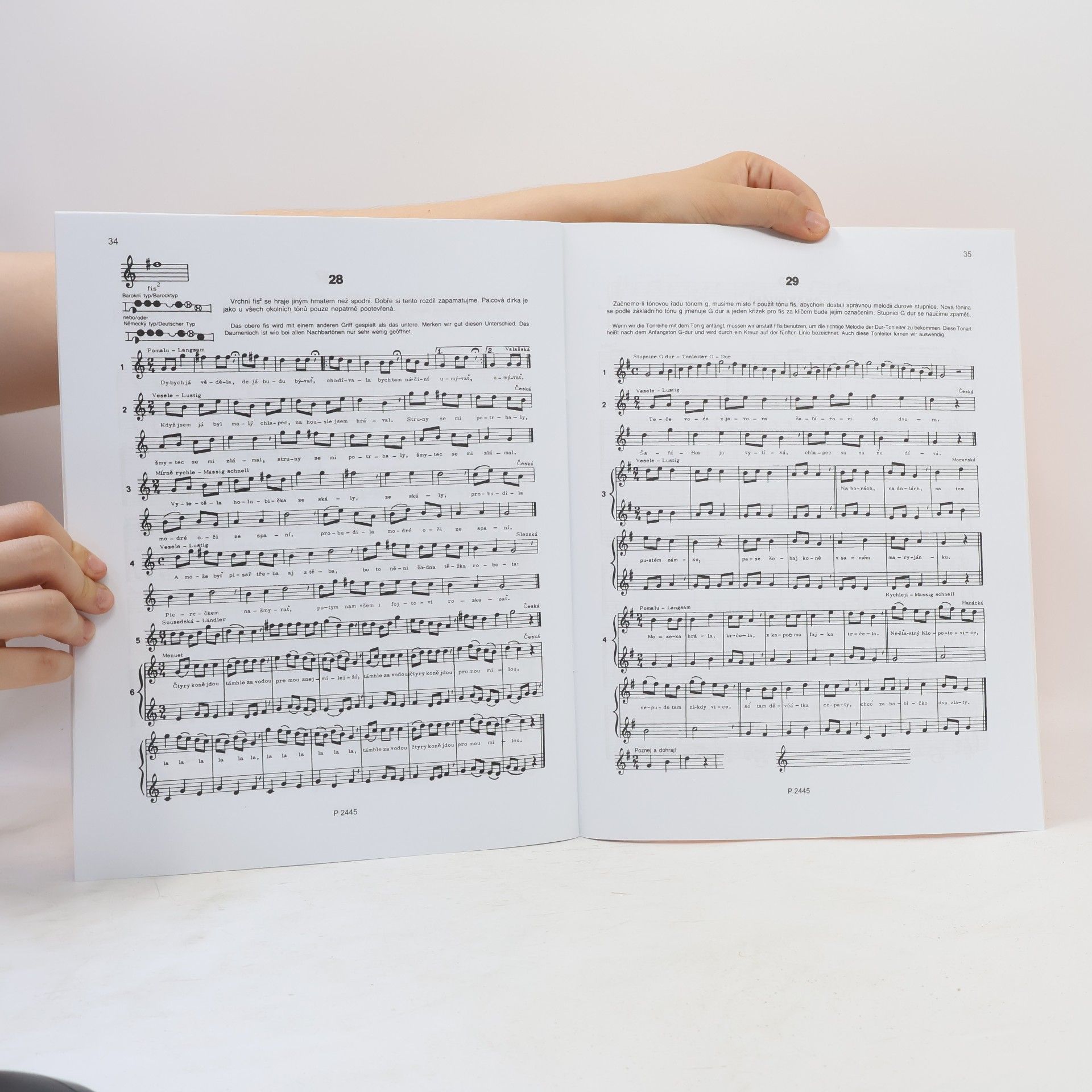 Schott Music Panton Škola hry na sopránovou zobcovou flétnu
