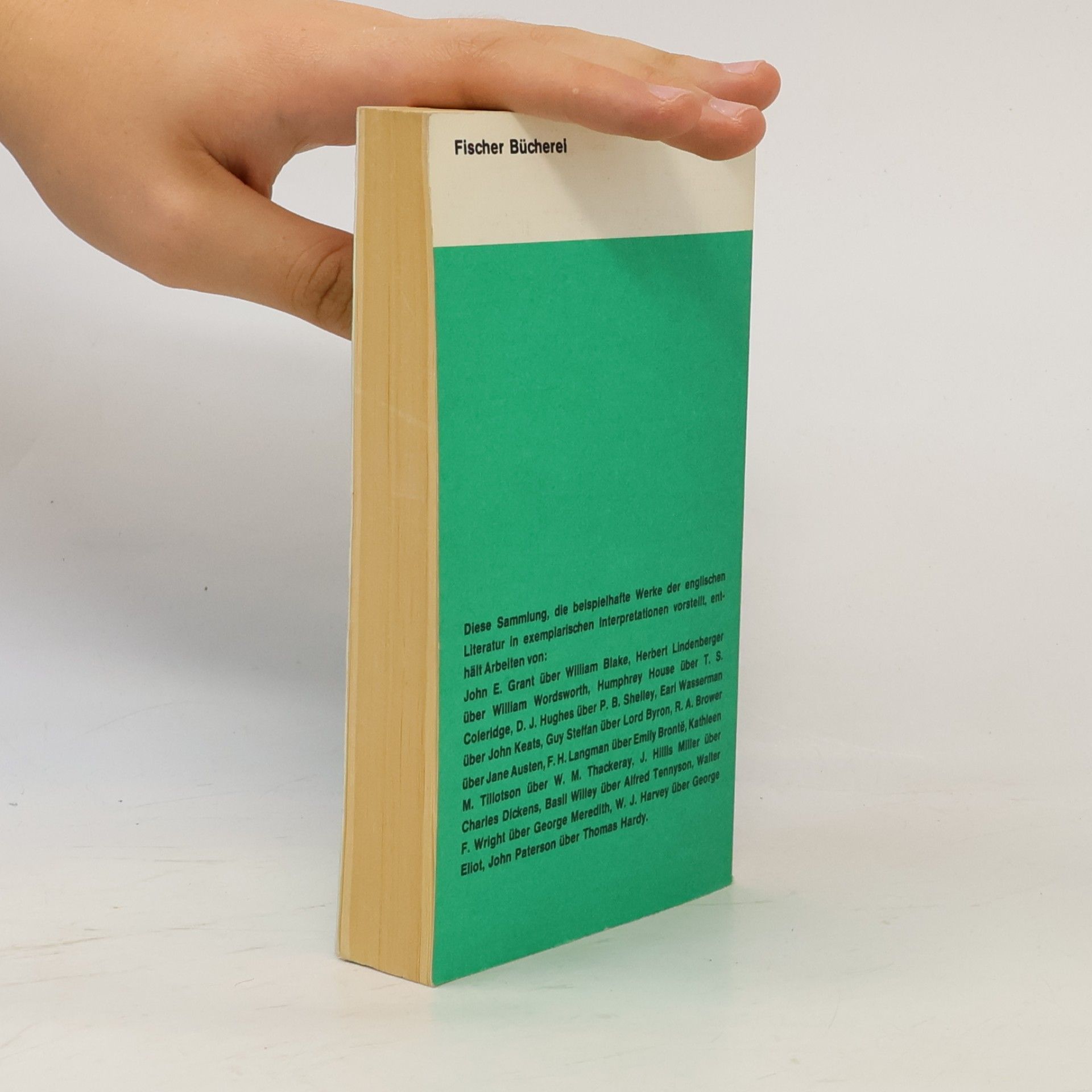 Willi Erzgräber Interpretationen 8. Englische Literatur von Blake bis Hardy