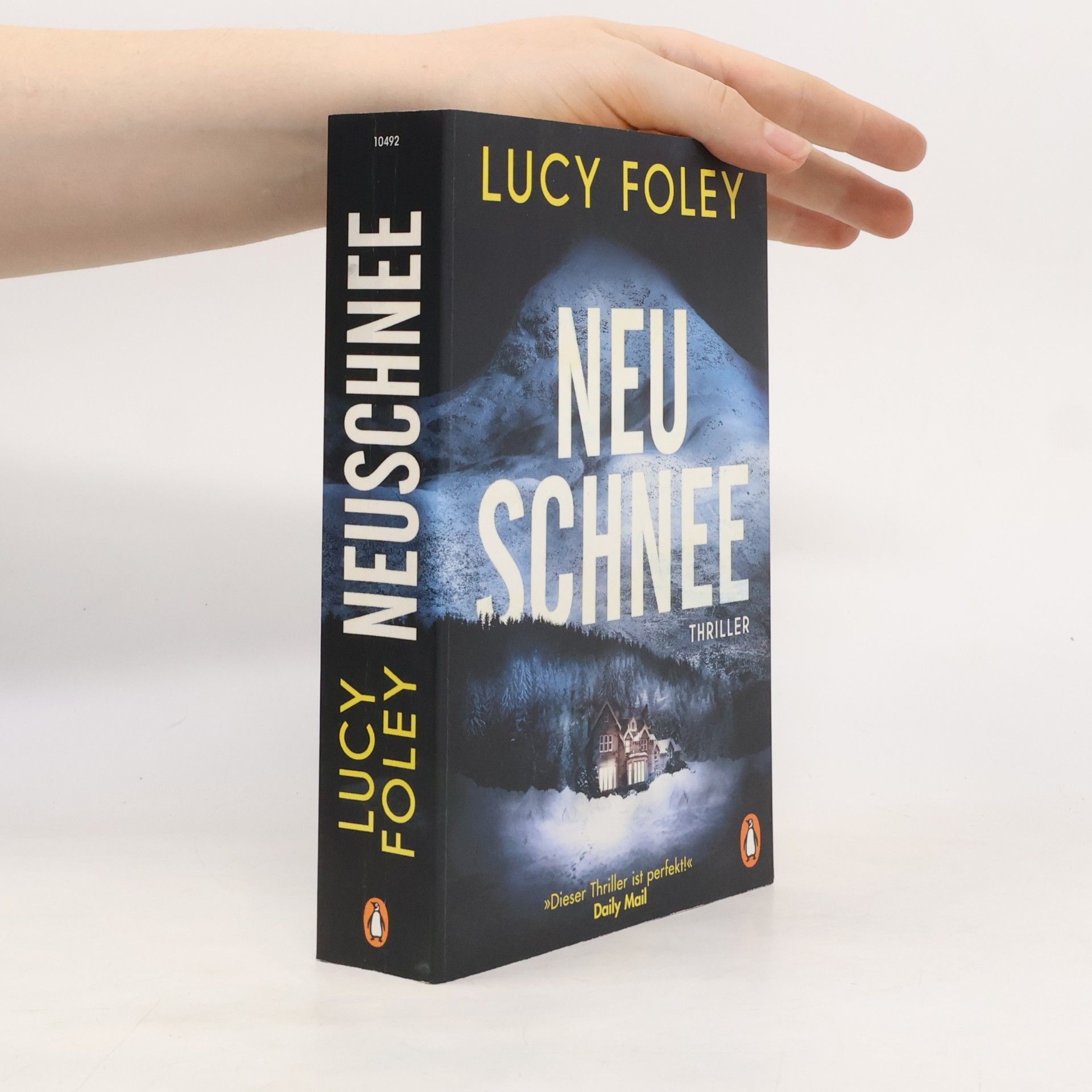 Lucy Foley Neuschnee