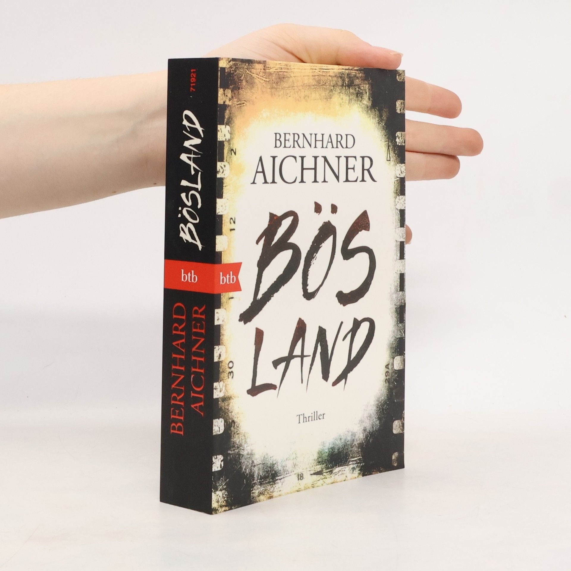 Bernhard Aichner Bösland