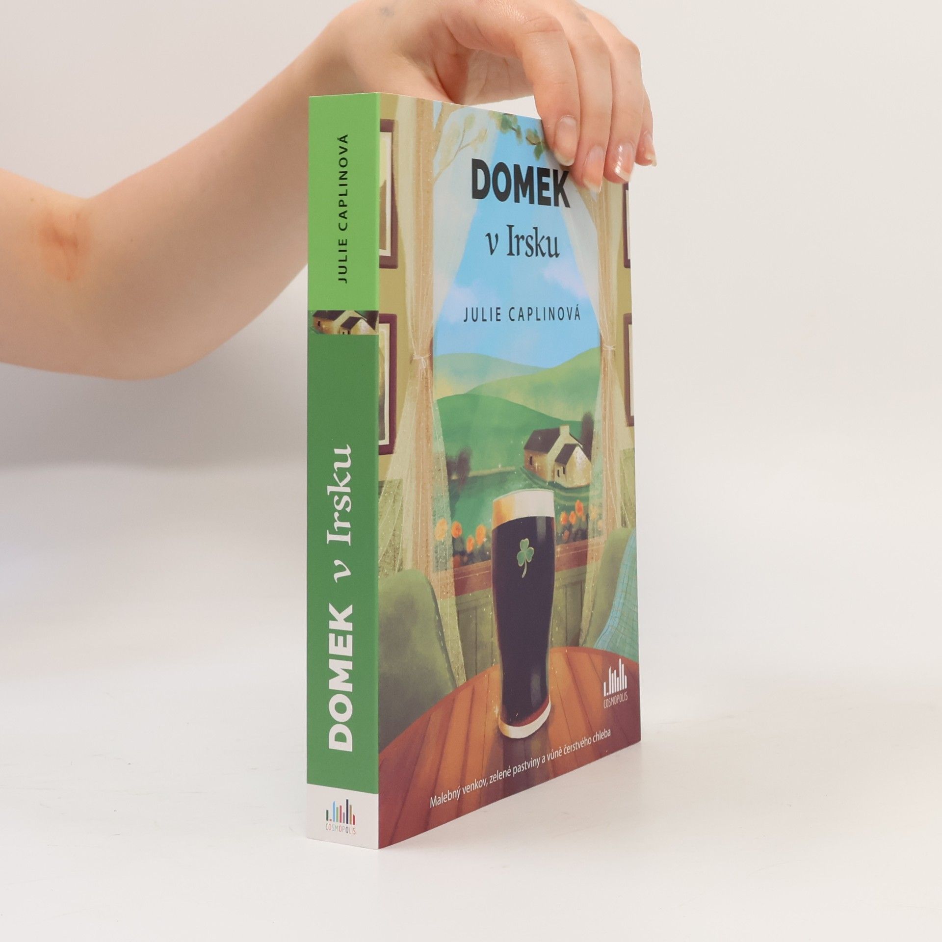 Julie Caplin Domek v Irsku