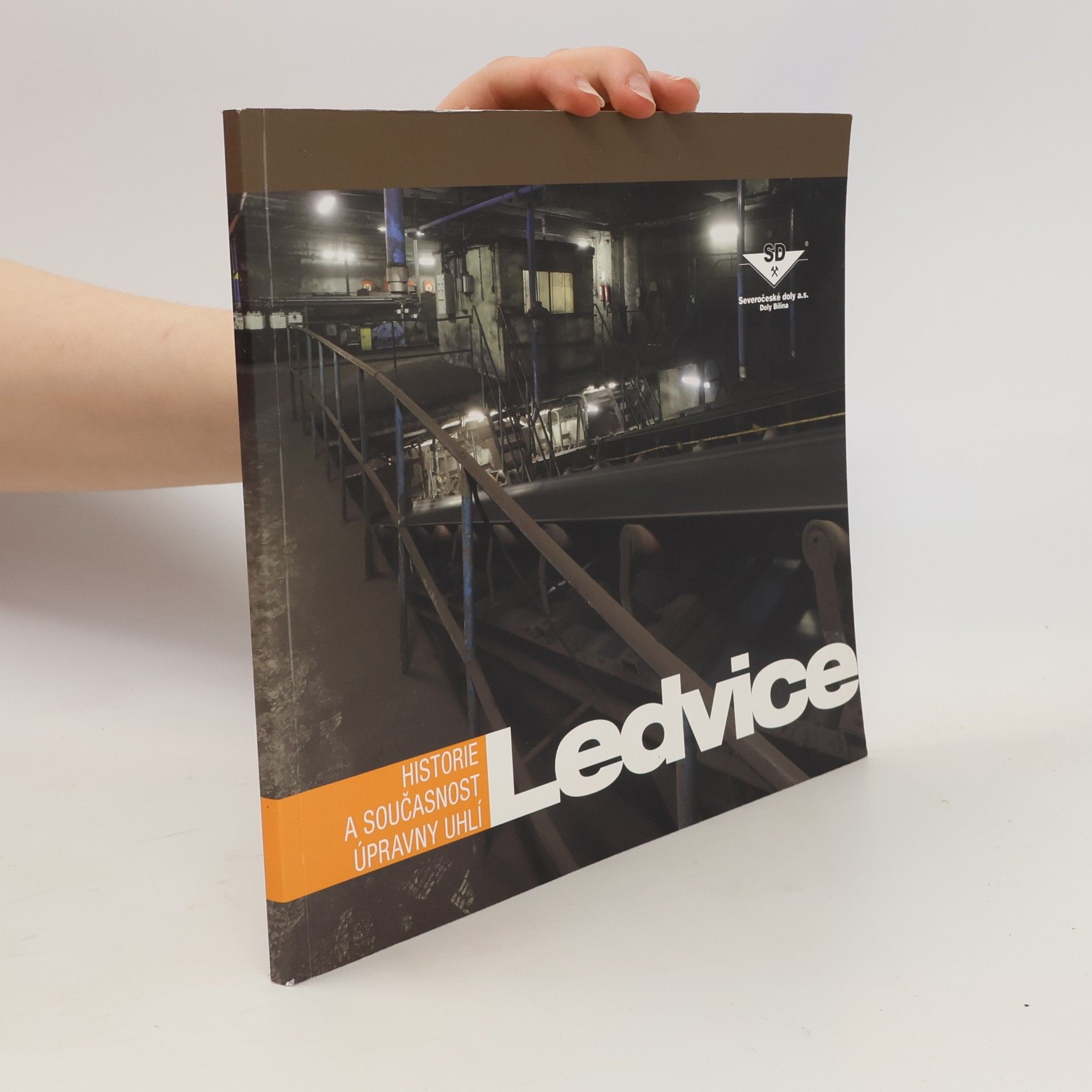 Ledvice
