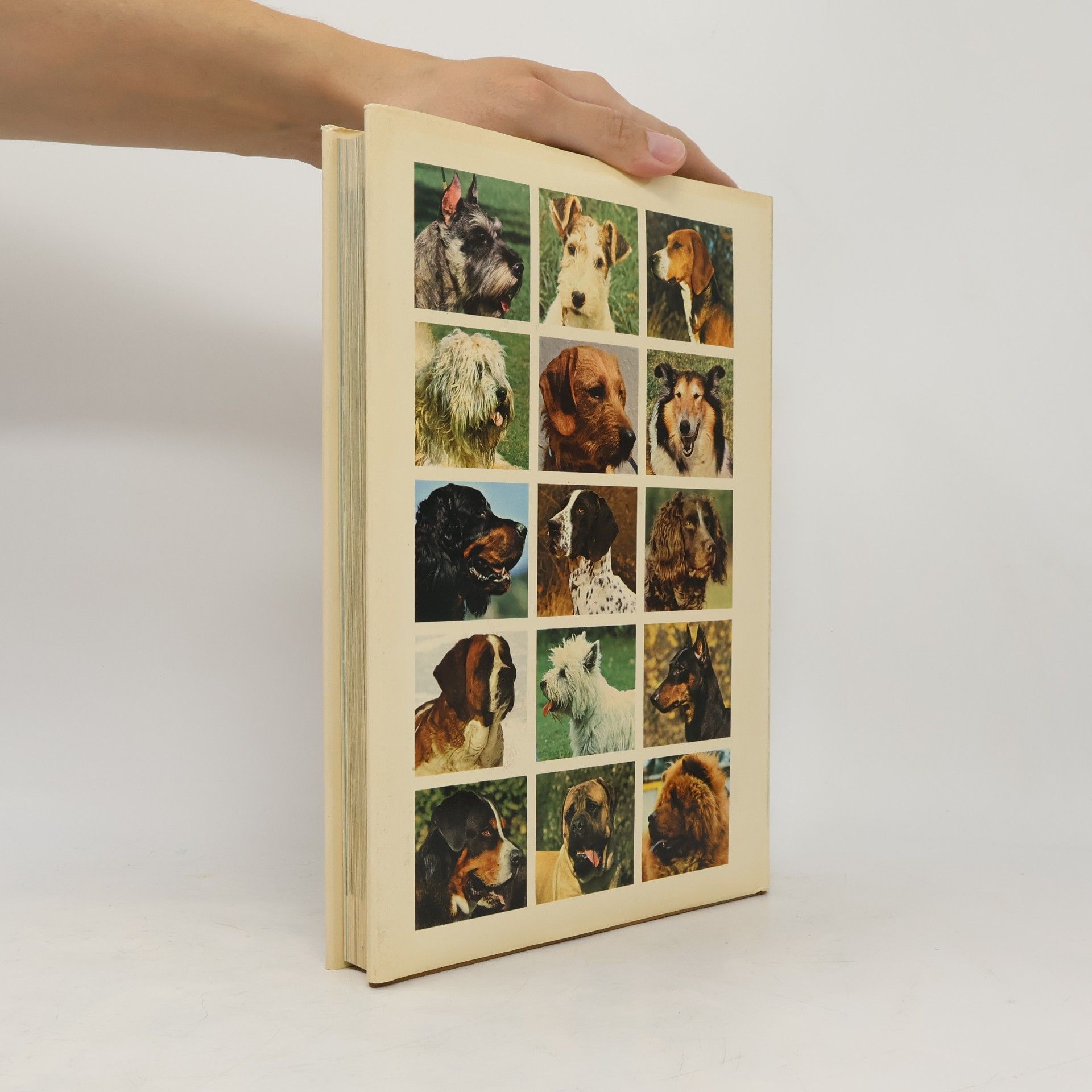 Fiorenzo Fiorone Die grosse Hunde-Enzyklopädie