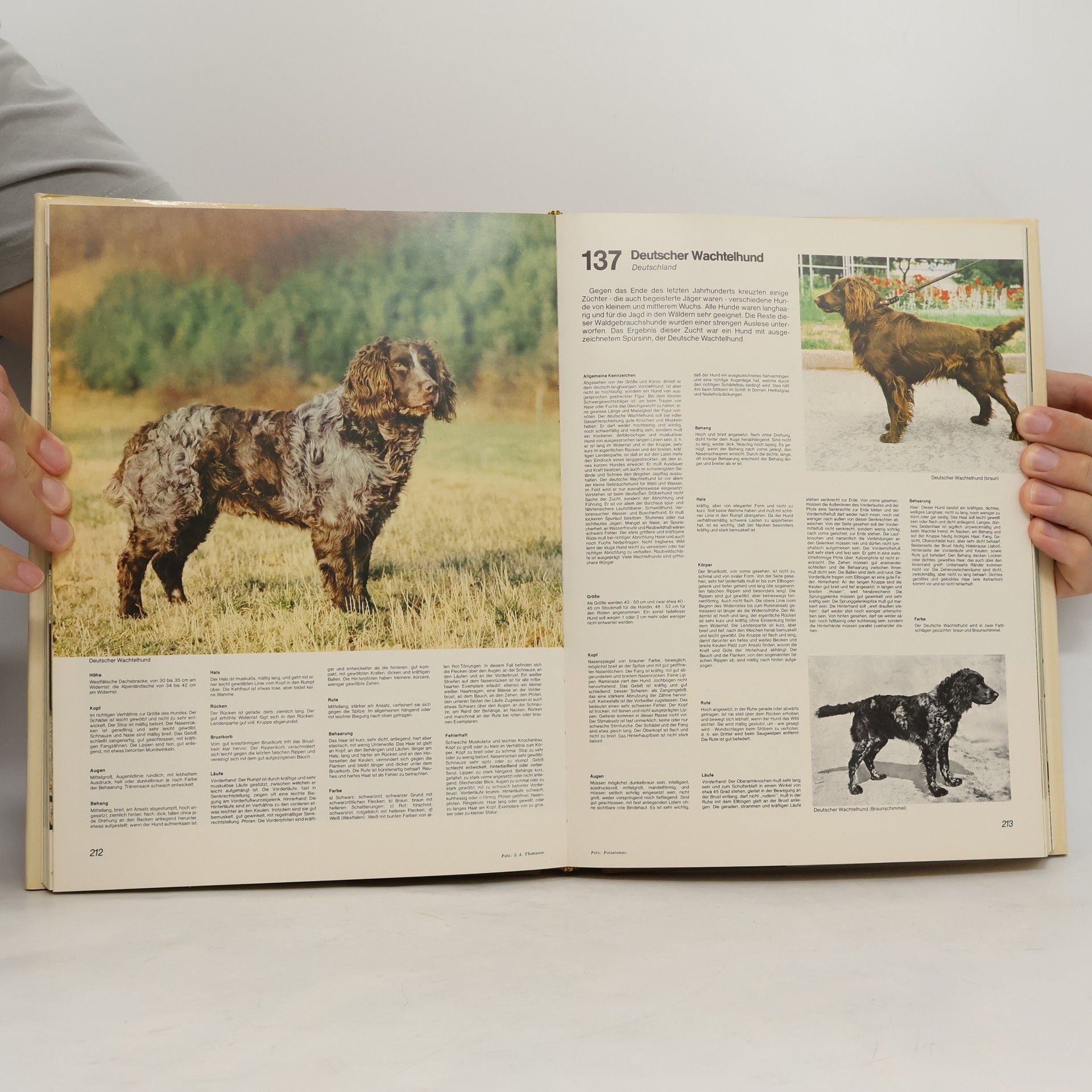 Fiorenzo Fiorone Die grosse Hunde-Enzyklopädie