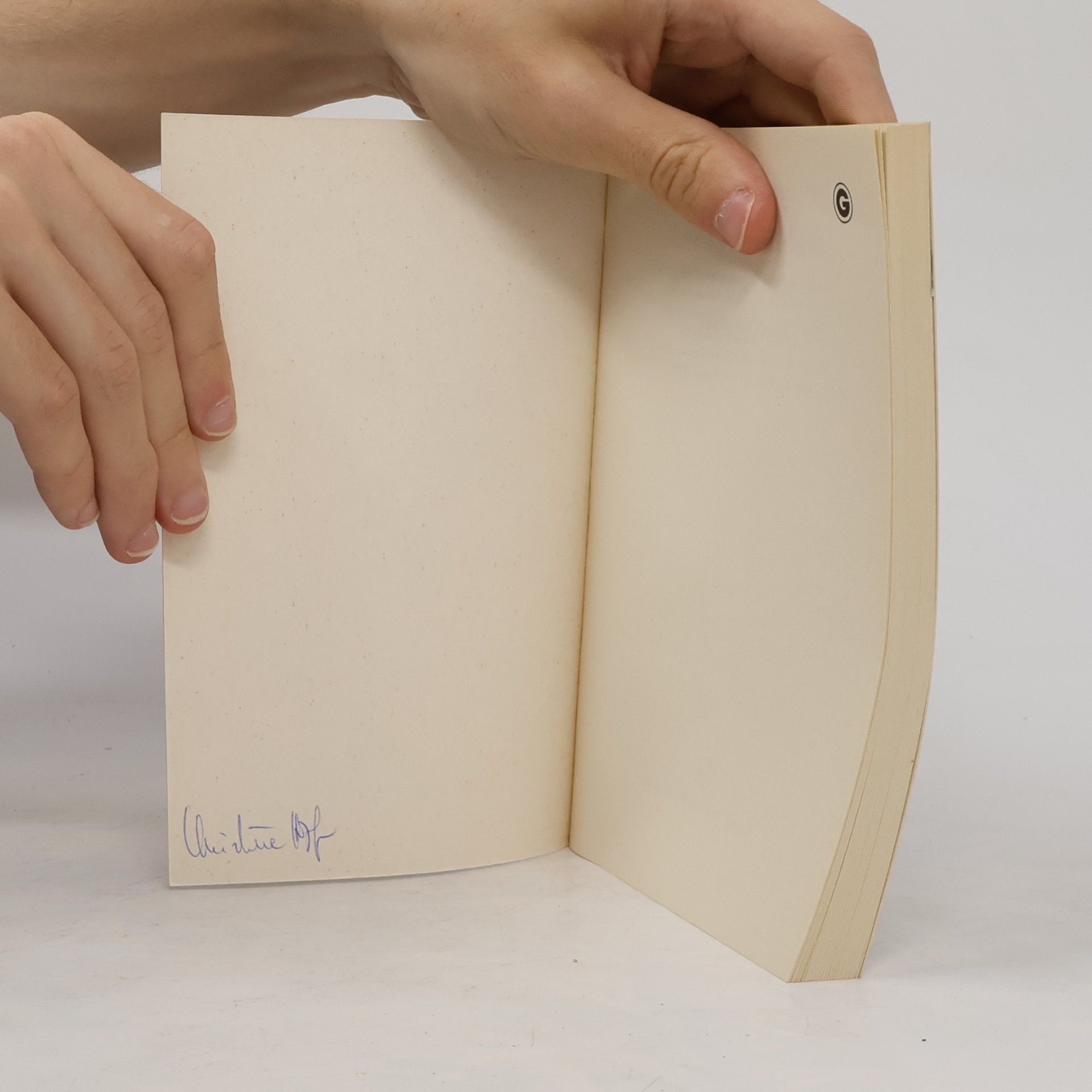 Pelham Wodehouse Das Mädchen in Blau