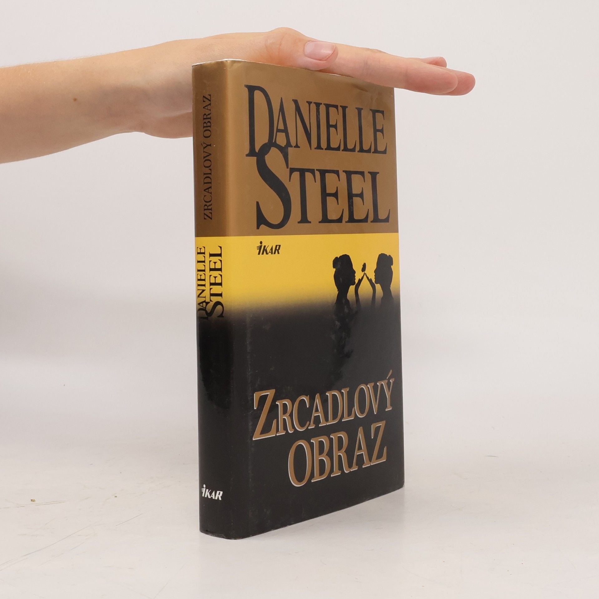 Danielle Steel Zrcadlový obraz