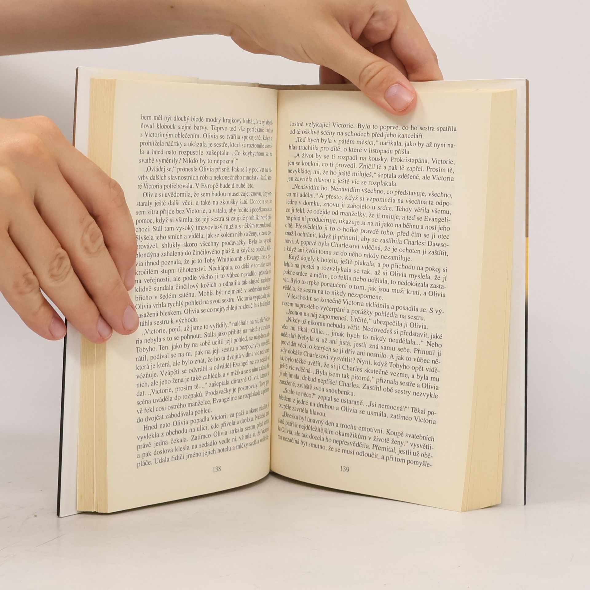 Danielle Steel Zrcadlový obraz