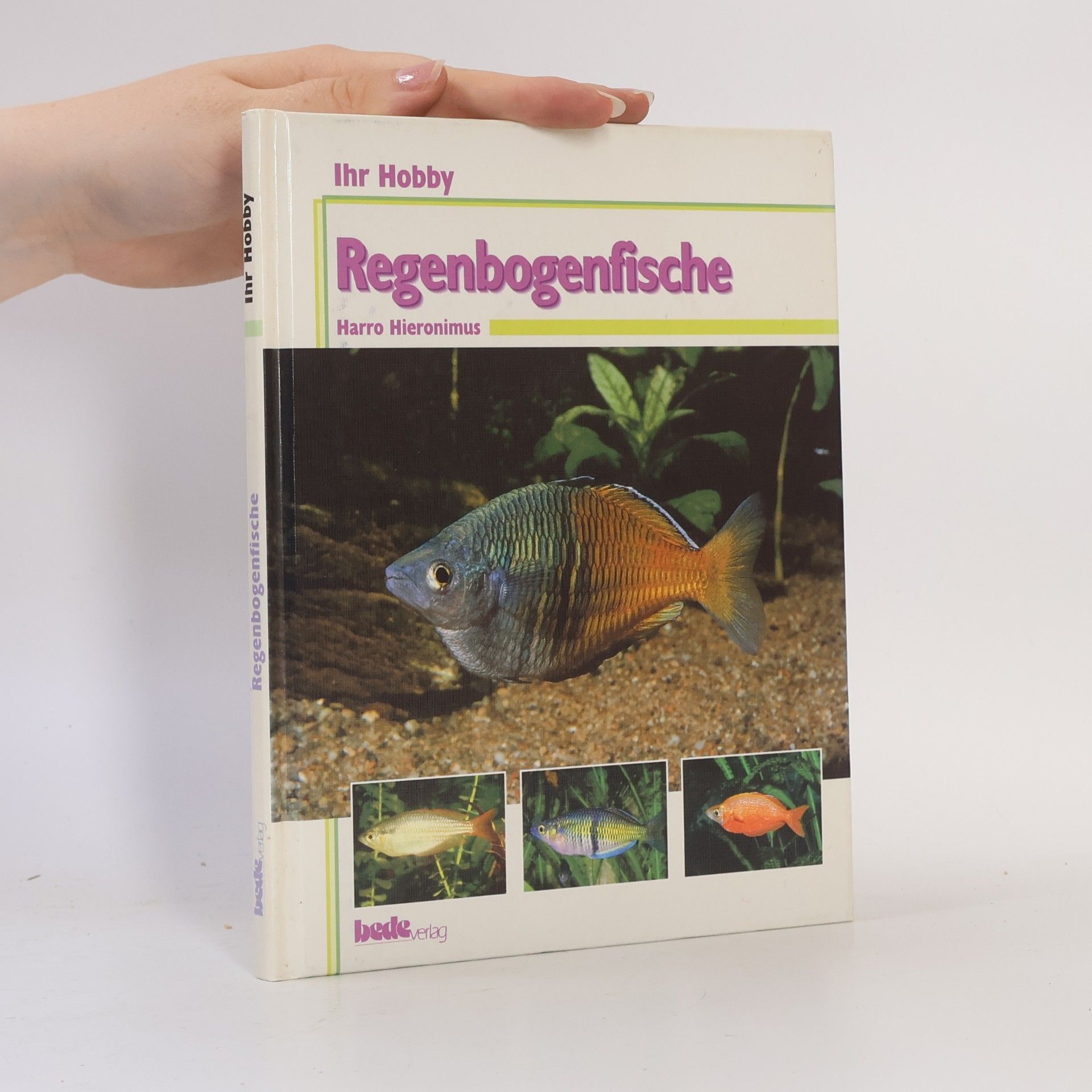 Harro Hieronimus Ihr Hobby Regenbogenfische