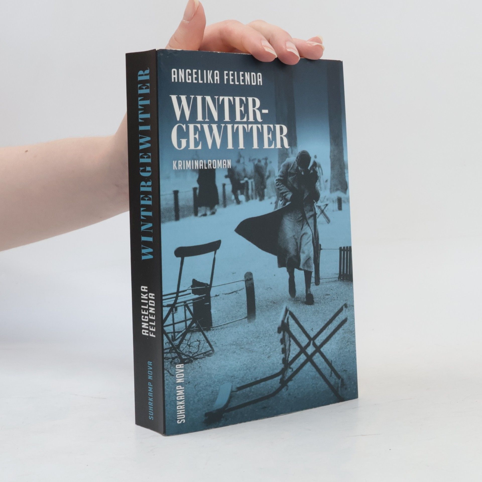 Angelika Felenda Wintergewitter