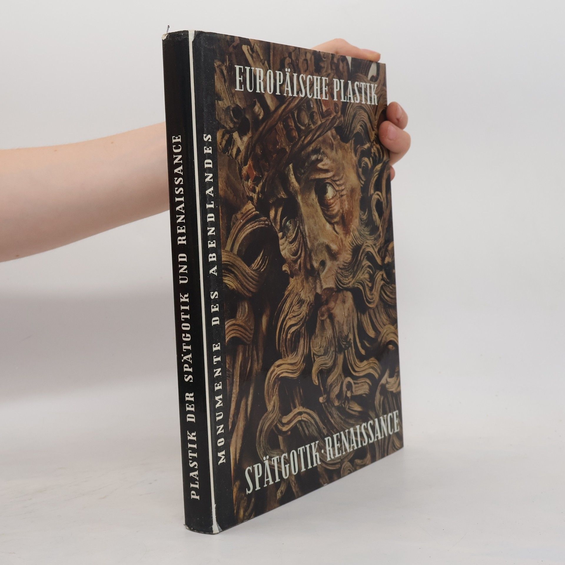 Autorenkollektiv Europäisiche Plastik der Spätgotik und Renaissance