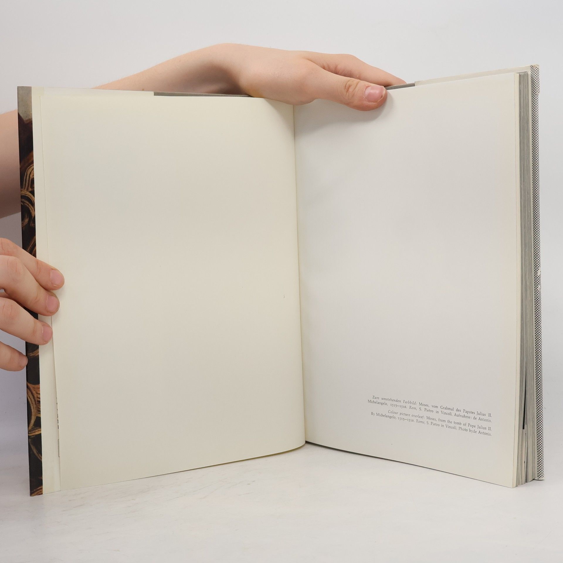Autorenkollektiv Europäisiche Plastik der Spätgotik und Renaissance