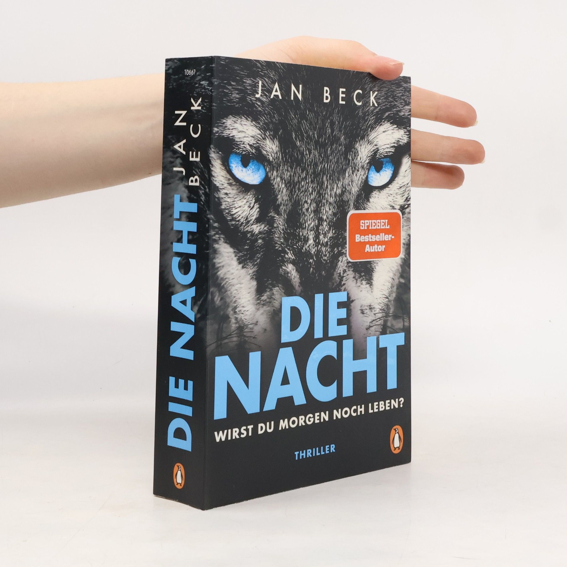 Jan Beck Die Nacht - wirst du morgen noch leben?