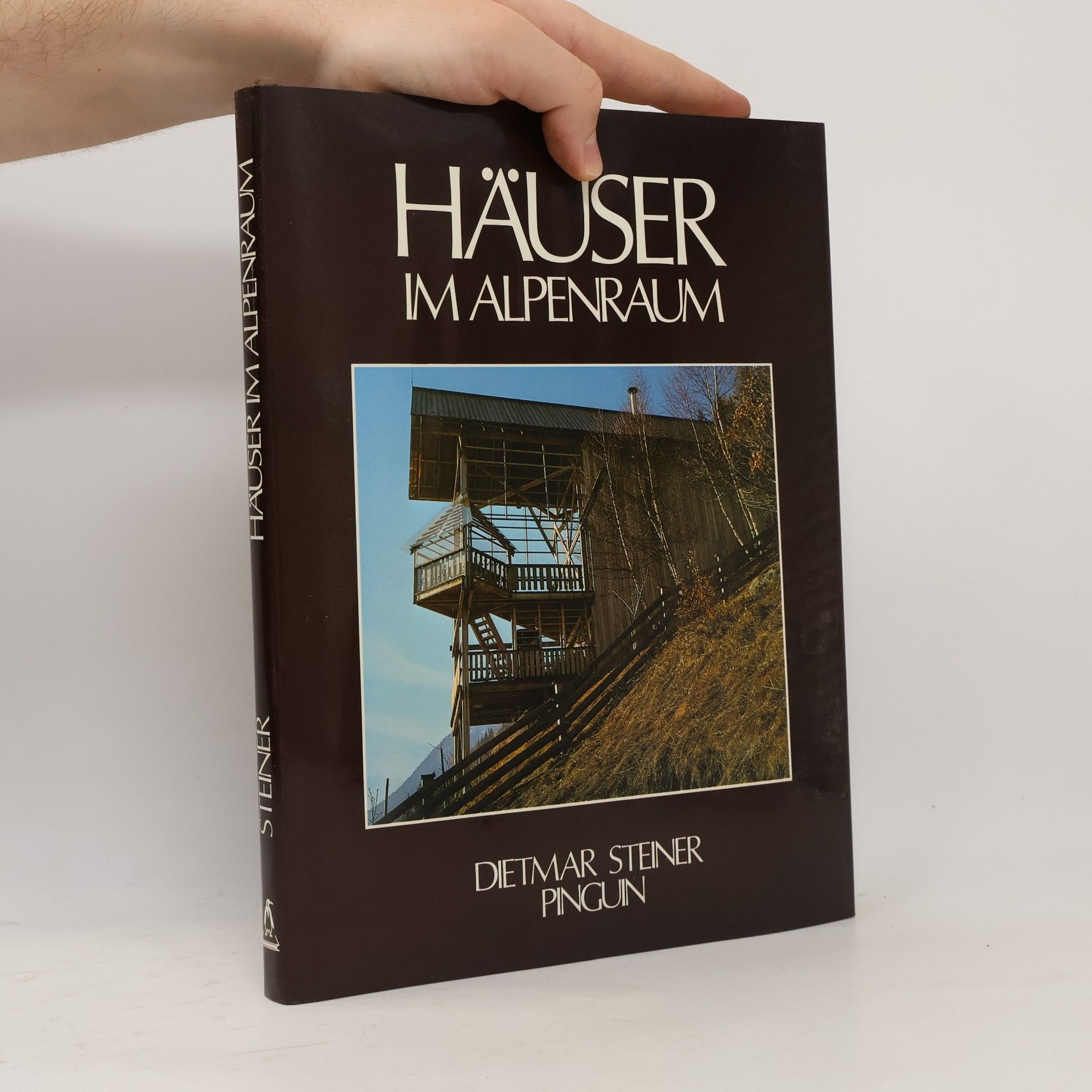 Dietmar Steiner Häuser im Alpenraum