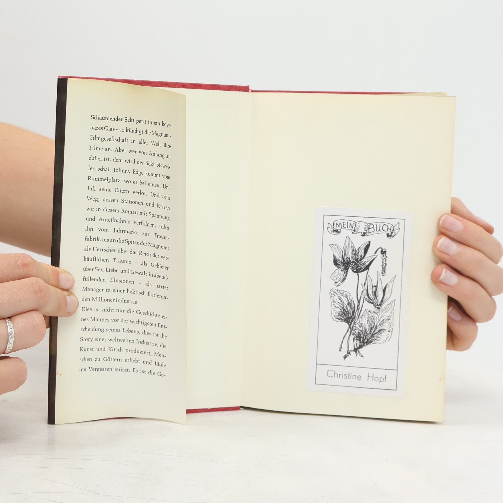 Harold Robbins Die Traumfabrik