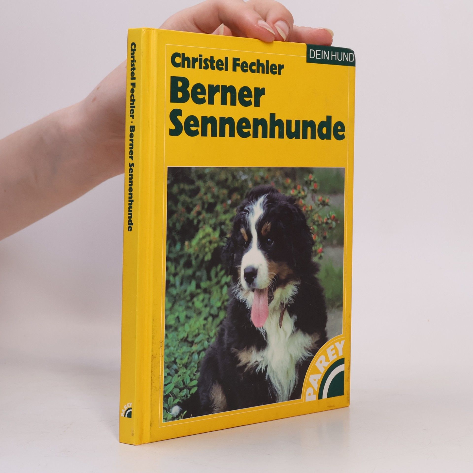 Christel Fechler Berner Sennenhunde
