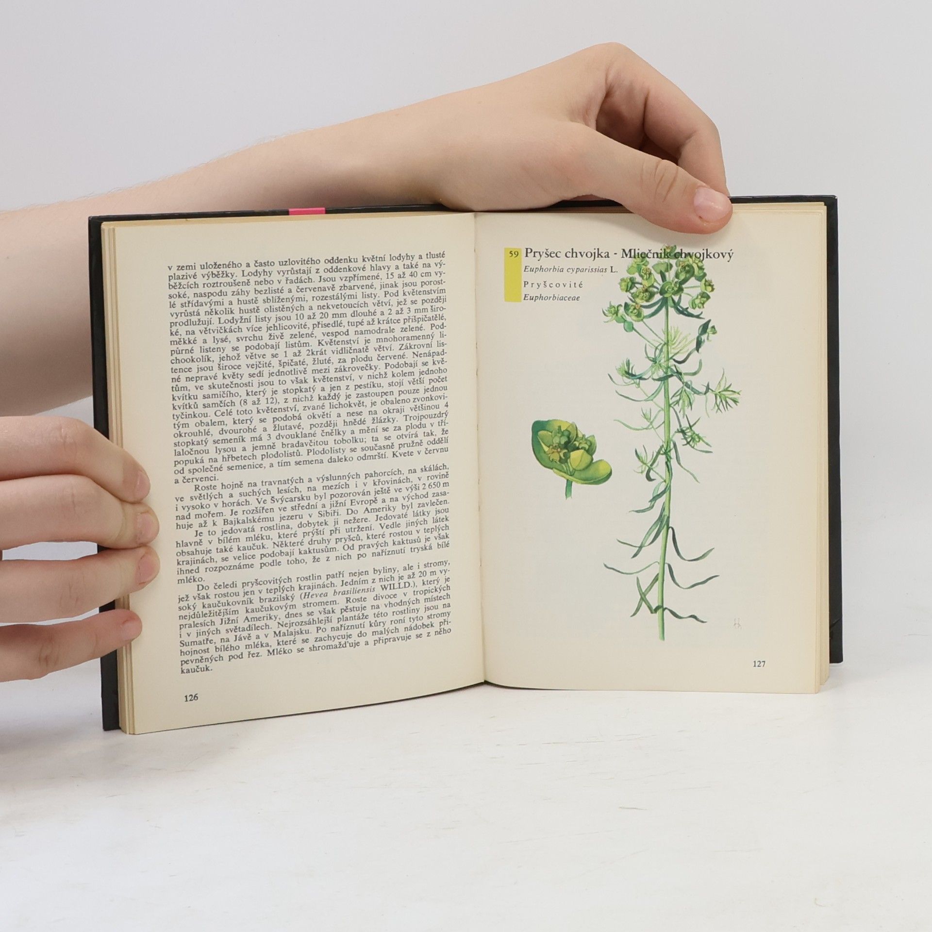 Albert Pilát Kapesní atlas rostlin
