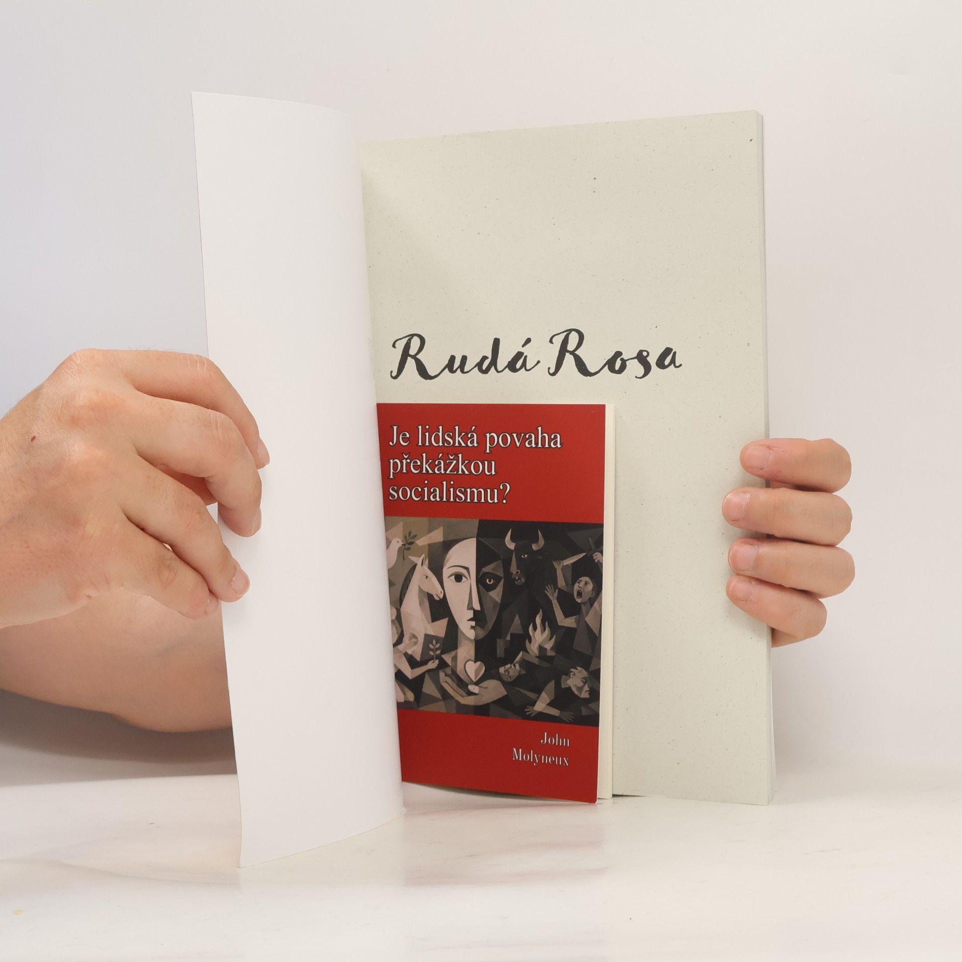 Kate Evans Rudá Rosa: Komixový životopis Rosy Luxemburg