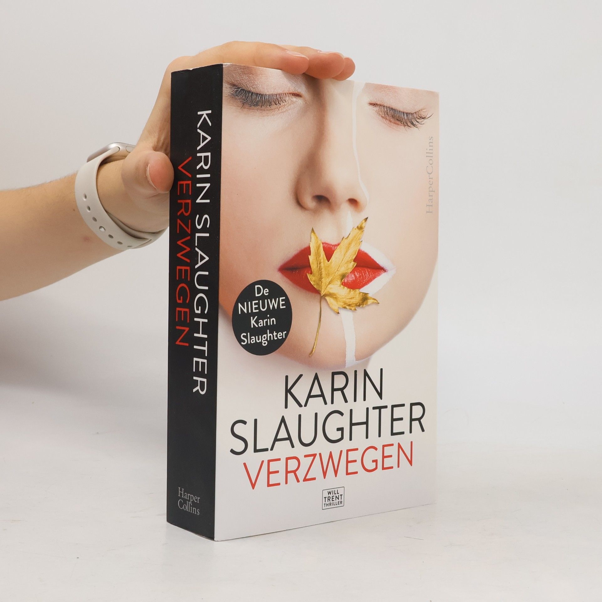 Karin Slaughter Will Trent: Verzwegen