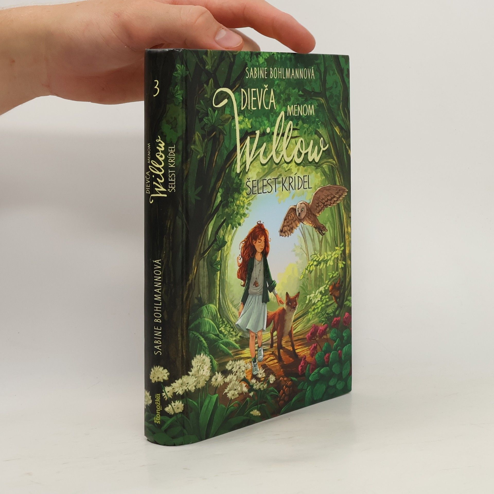 Sabine Bohlmann Dievča menom Willow 3: Šelest krídel