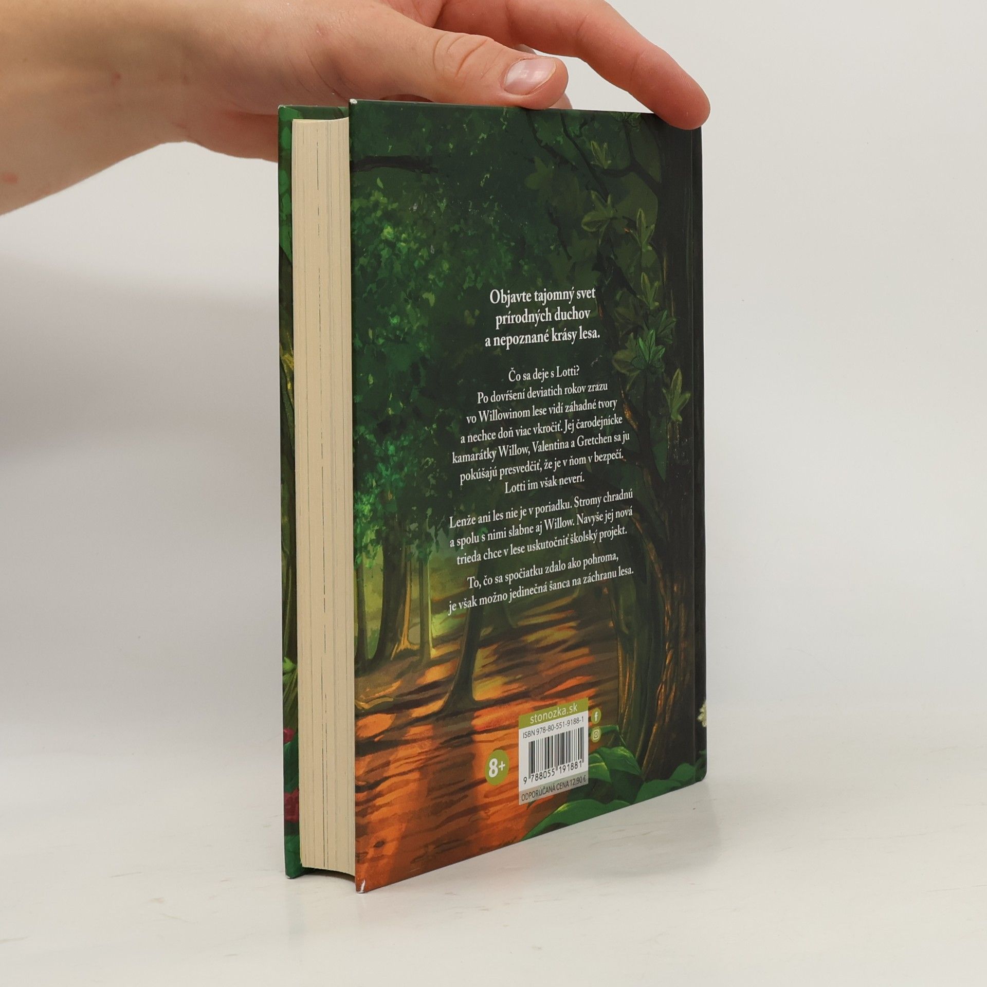 Sabine Bohlmann Dievča menom Willow 3: Šelest krídel