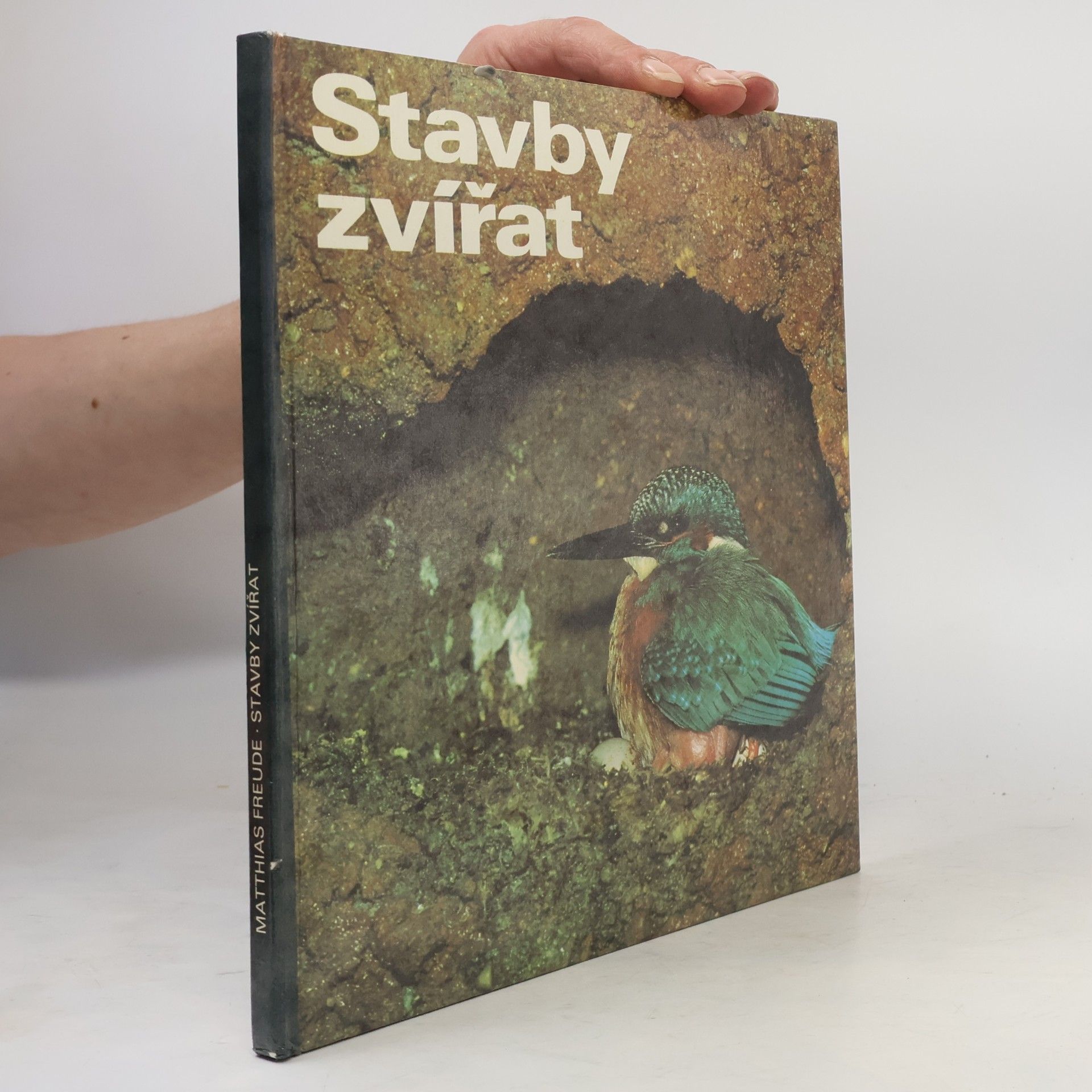 Jörg Parschau Stavby zvířat