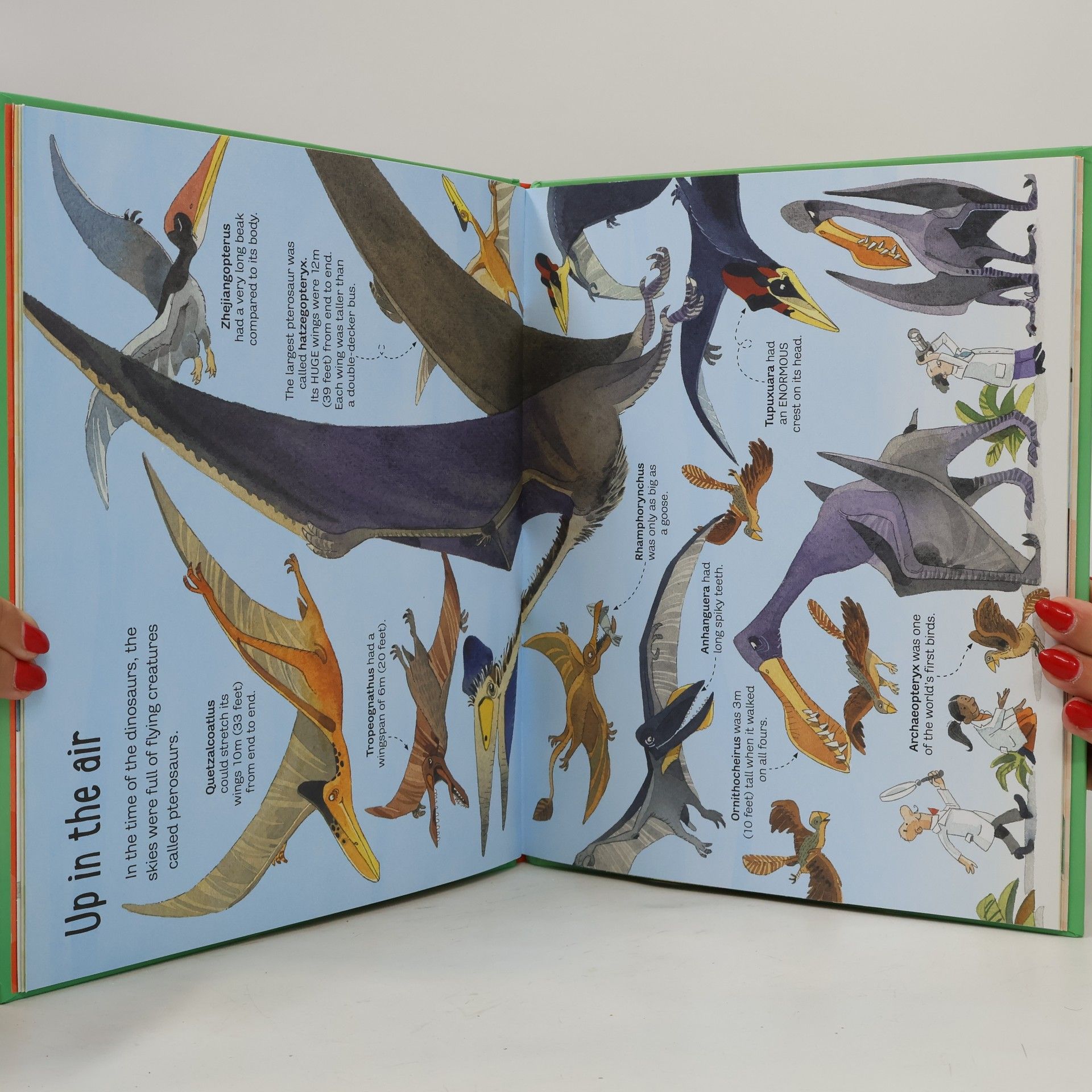 Alex Frith Big book of dinosaurs