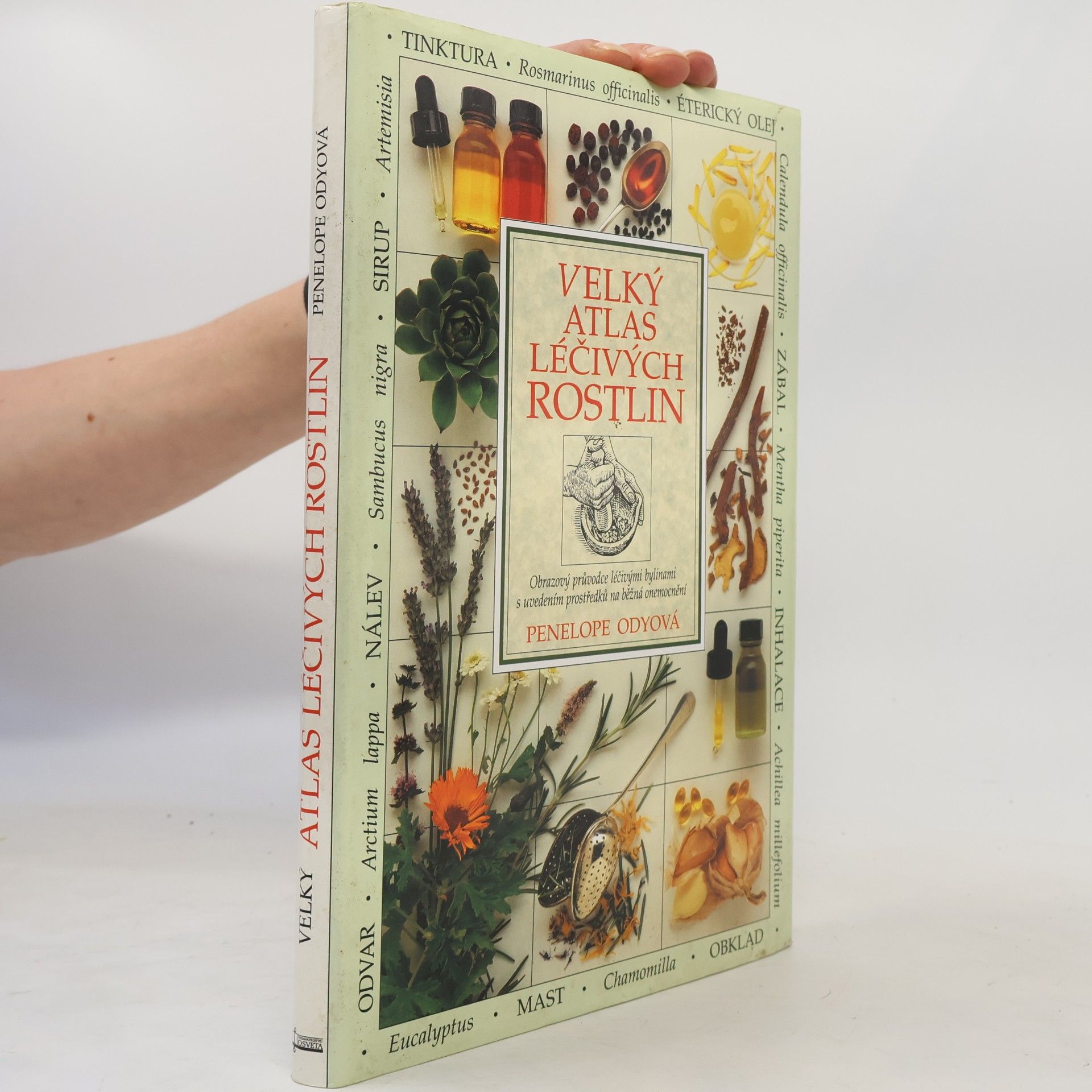 Penelope Ody Velký atlas léčivých rostlin