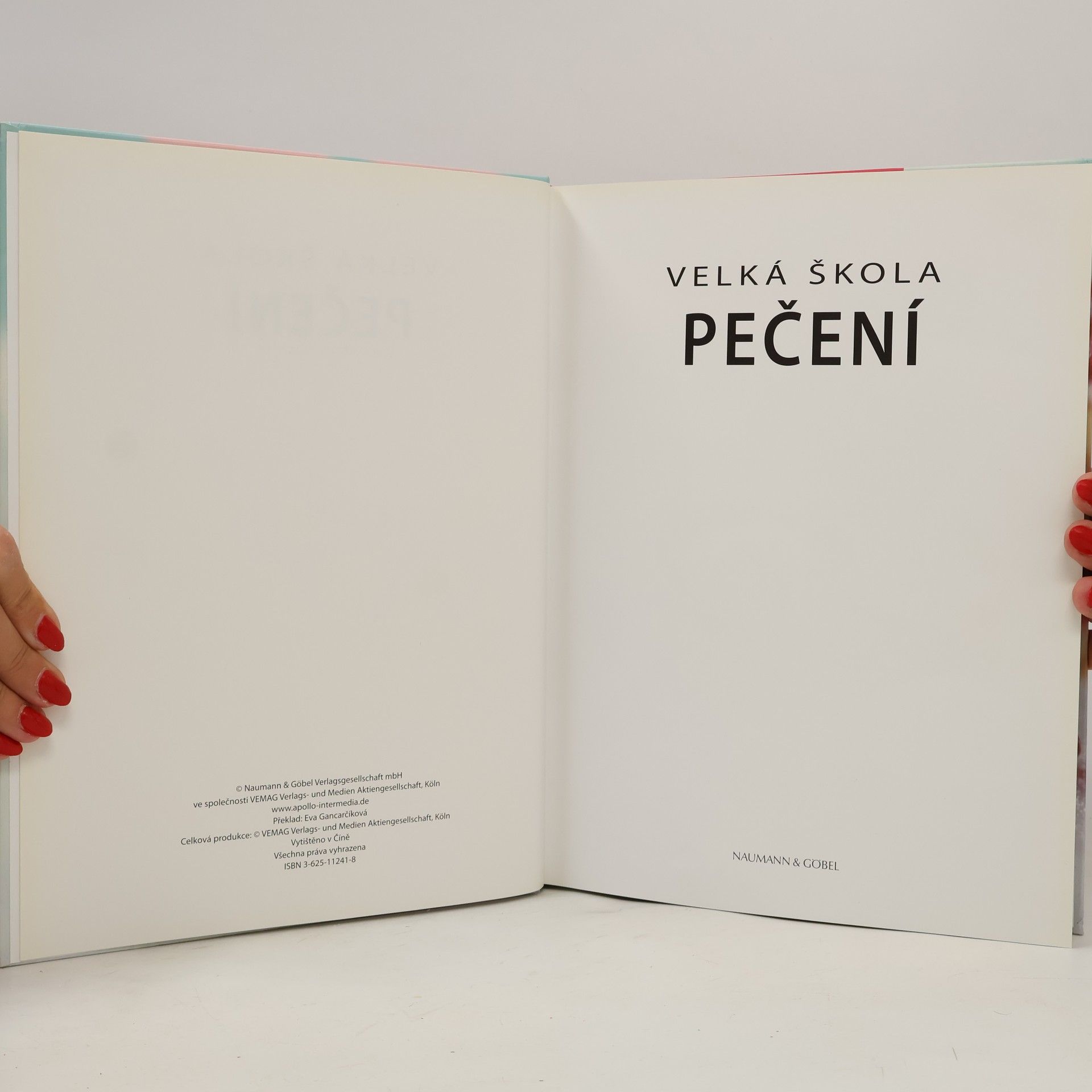 Autores varios Velká škola pečení. S mnoha recepty a informacemi o přísadách