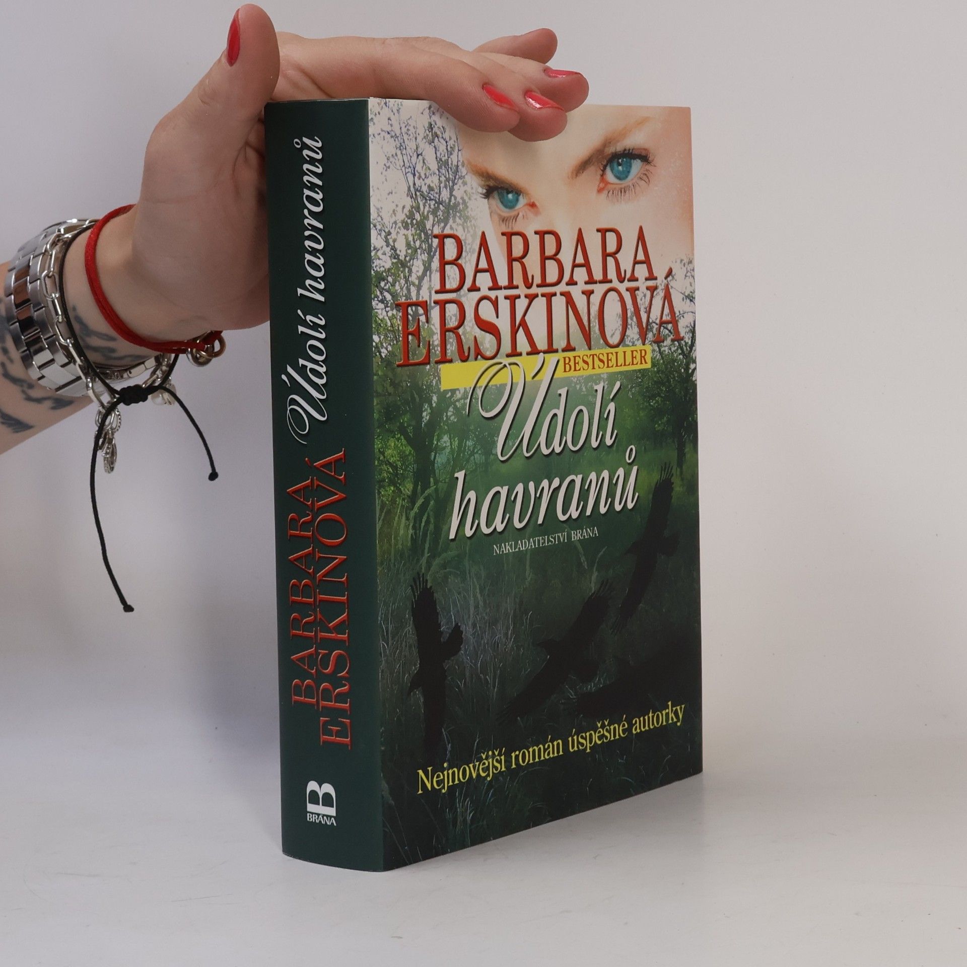 Barbara Erskine Údolí havranů